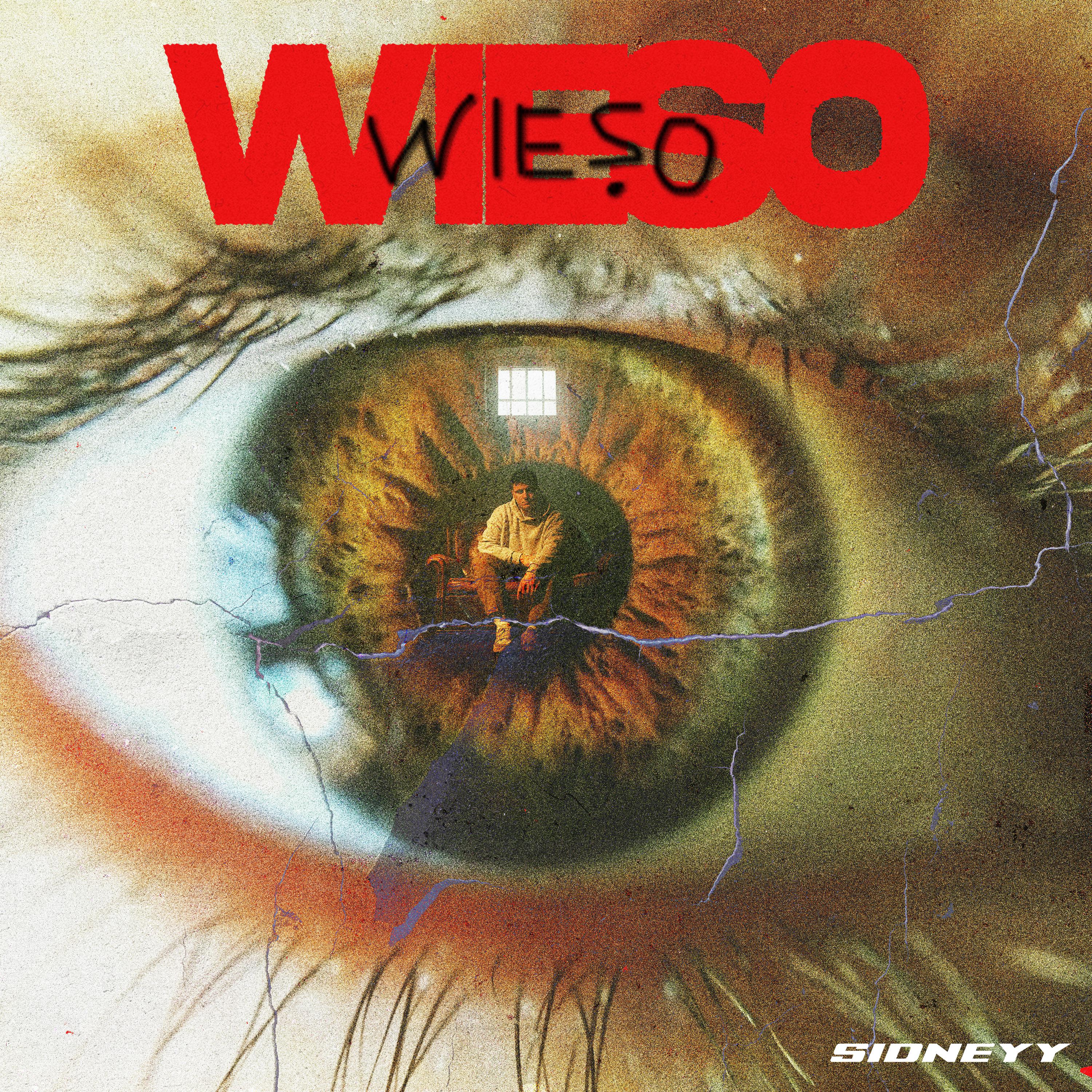 Постер альбома wieso