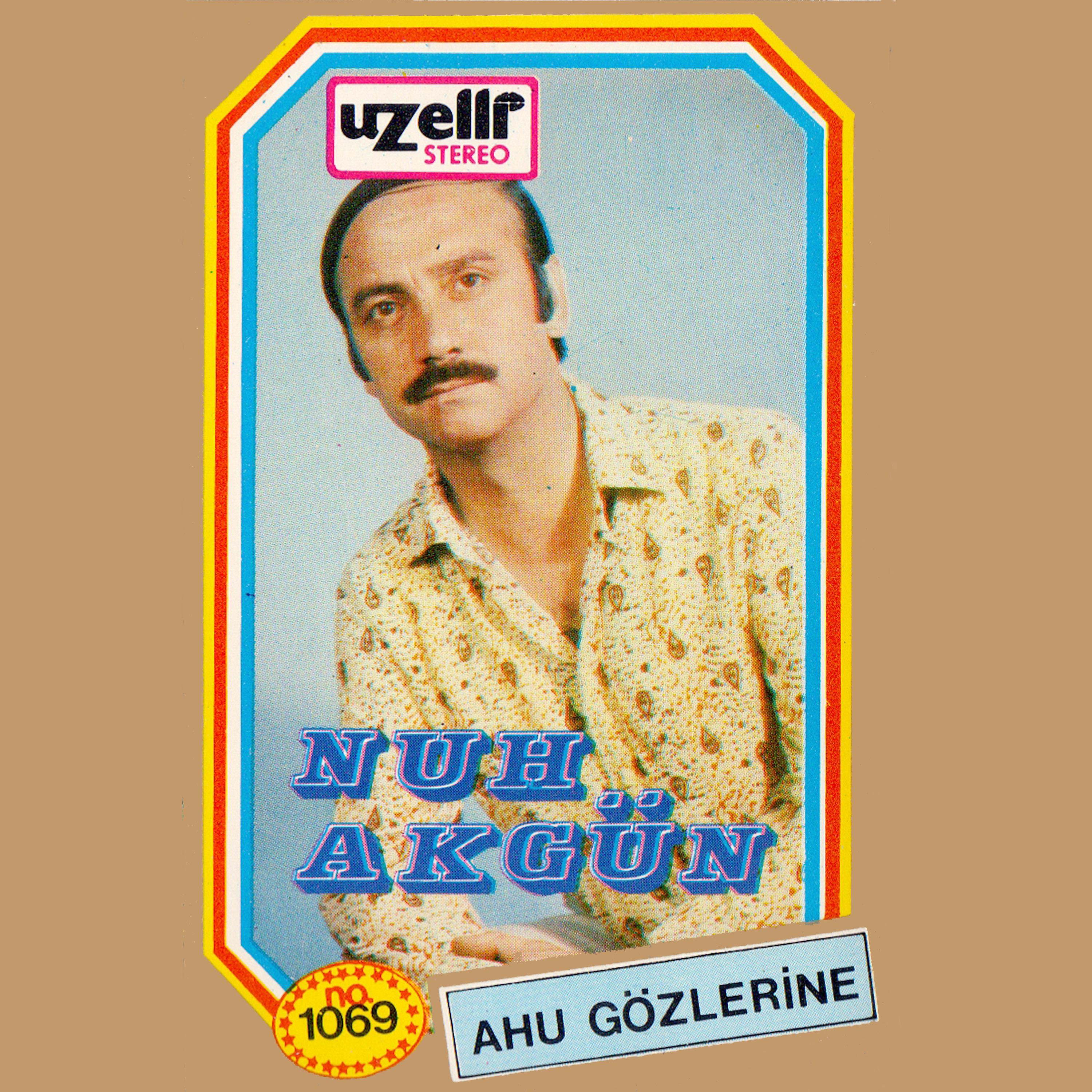 Постер альбома Ahu Gözlerine