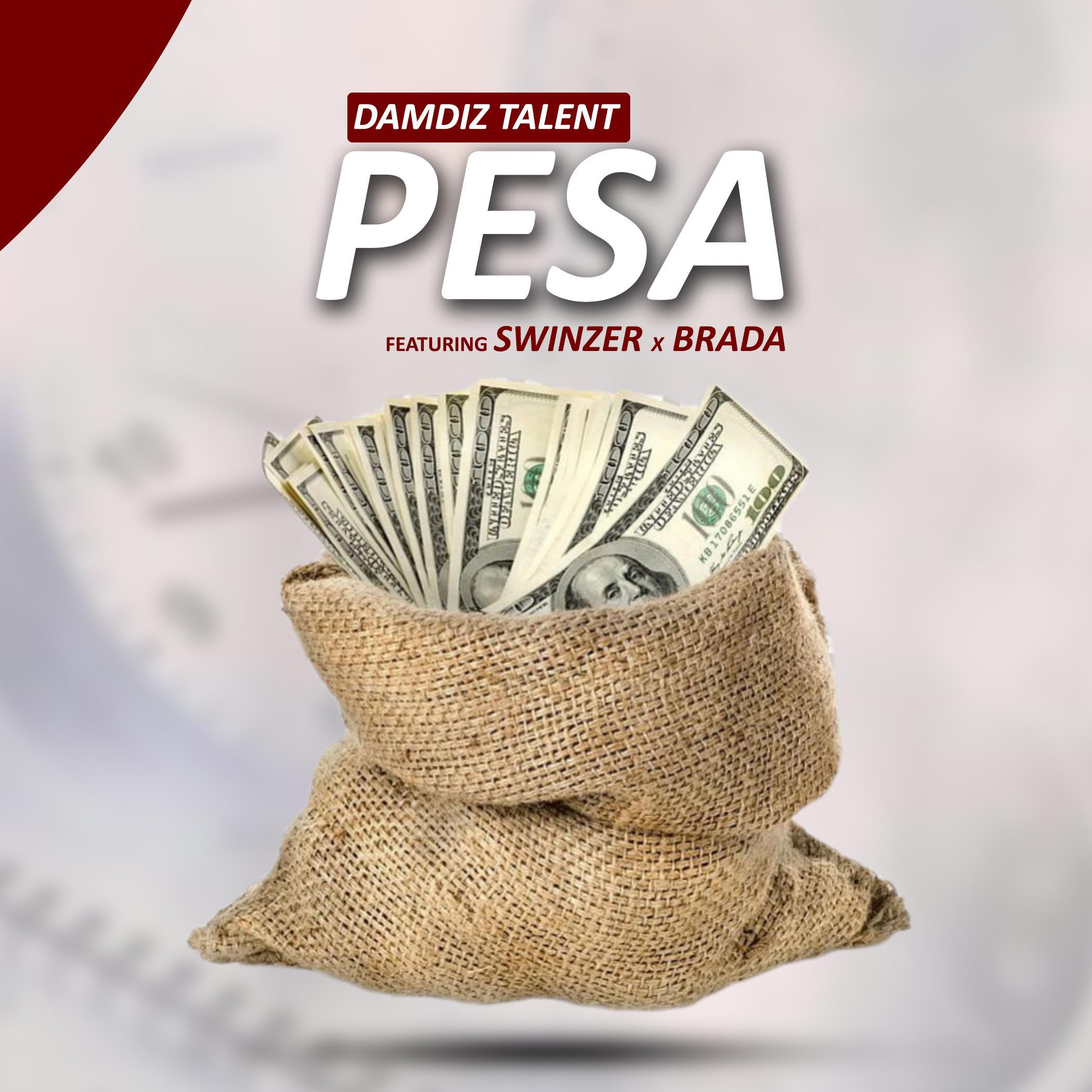 Постер альбома PESA (feat. swinzer & Brada)