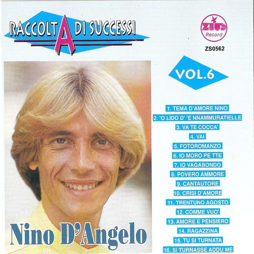Постер альбома Raccolta di successi, vol. 6 (The Best of Nino D'Angelo Collection)