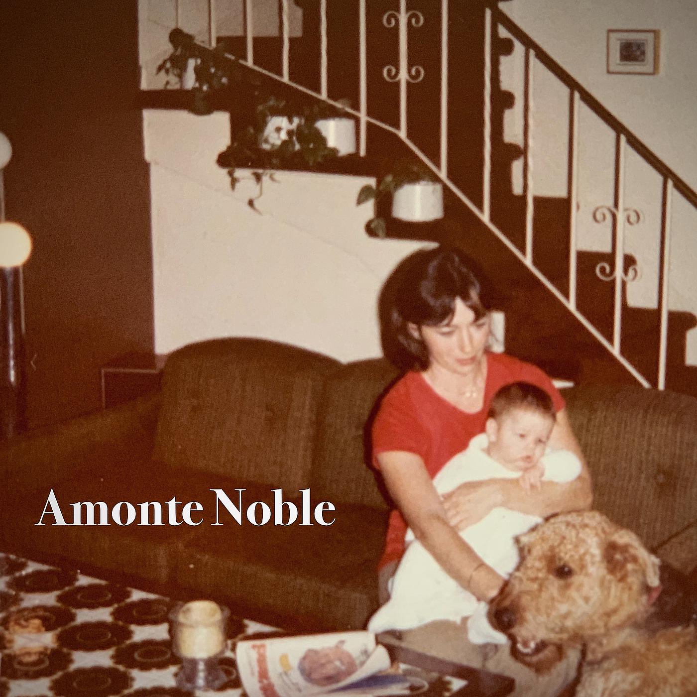 Постер альбома Amonte Noble