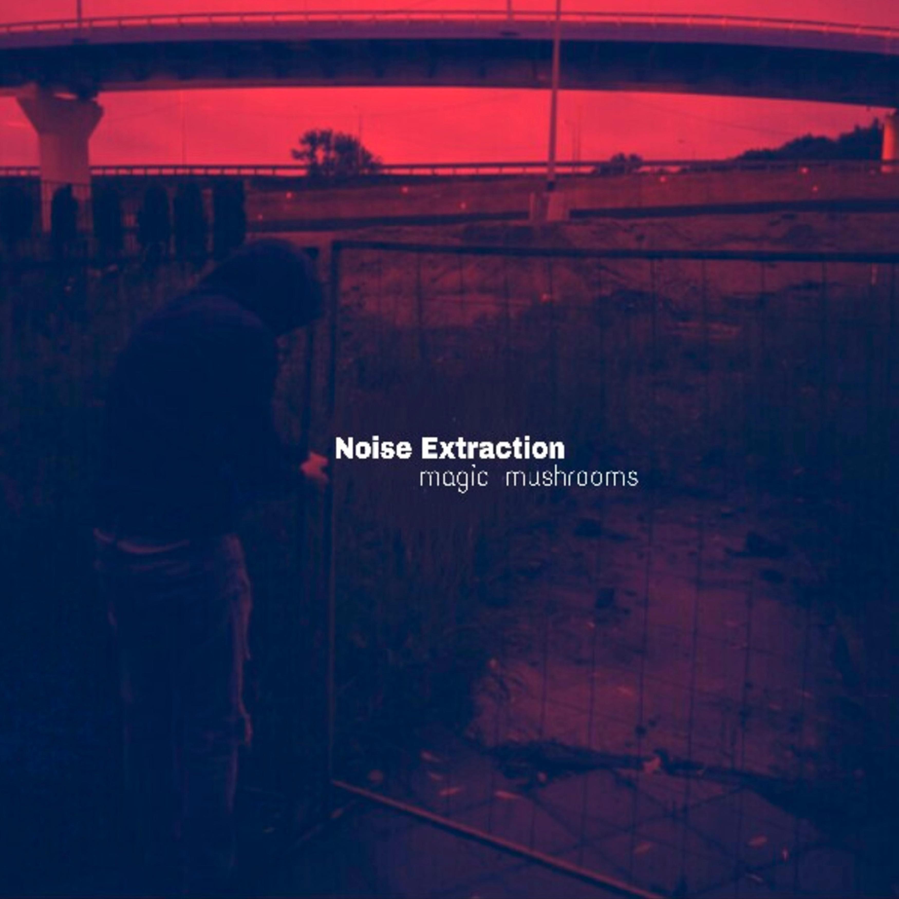 Постер альбома Noise Extraction