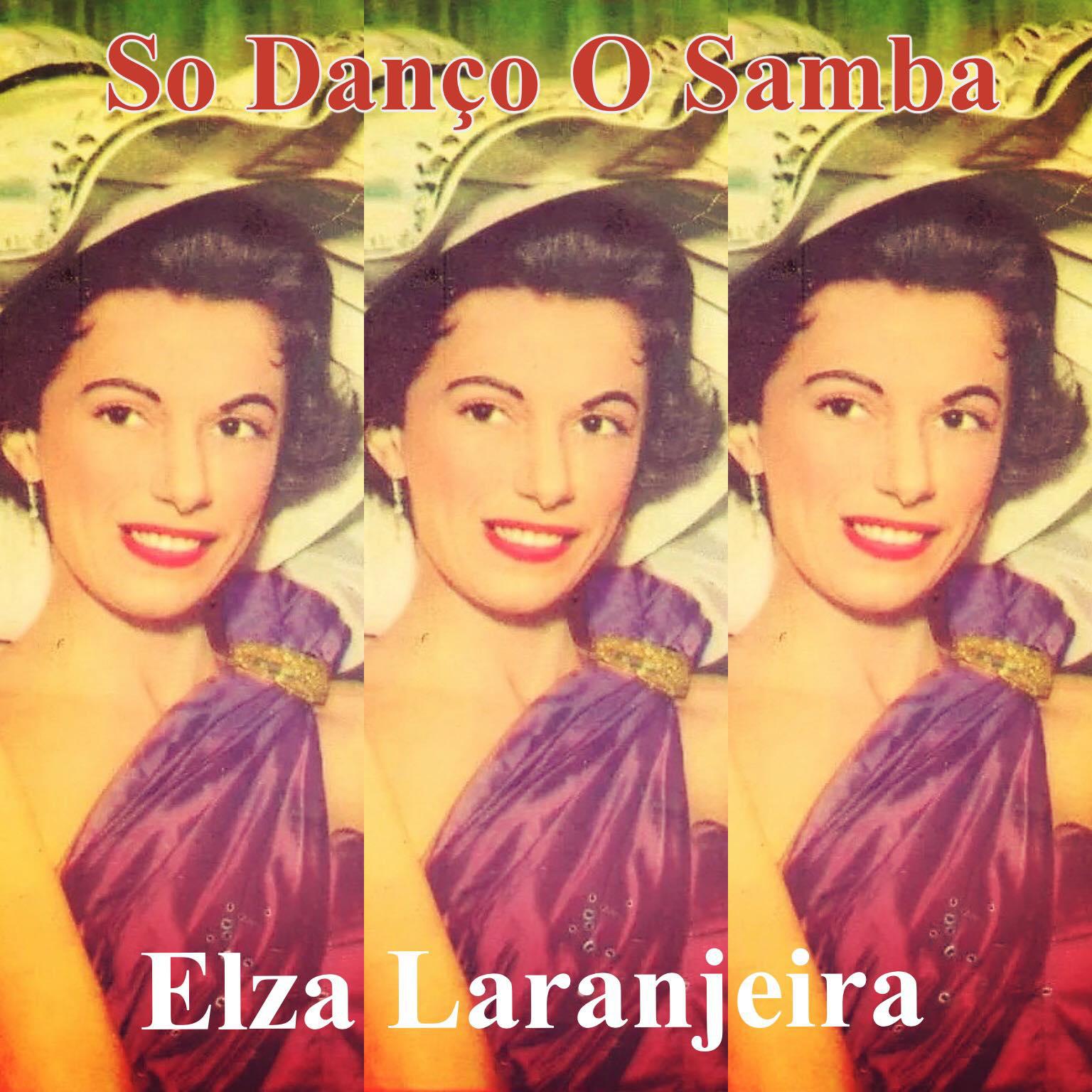 Постер альбома Só Danço o Samba