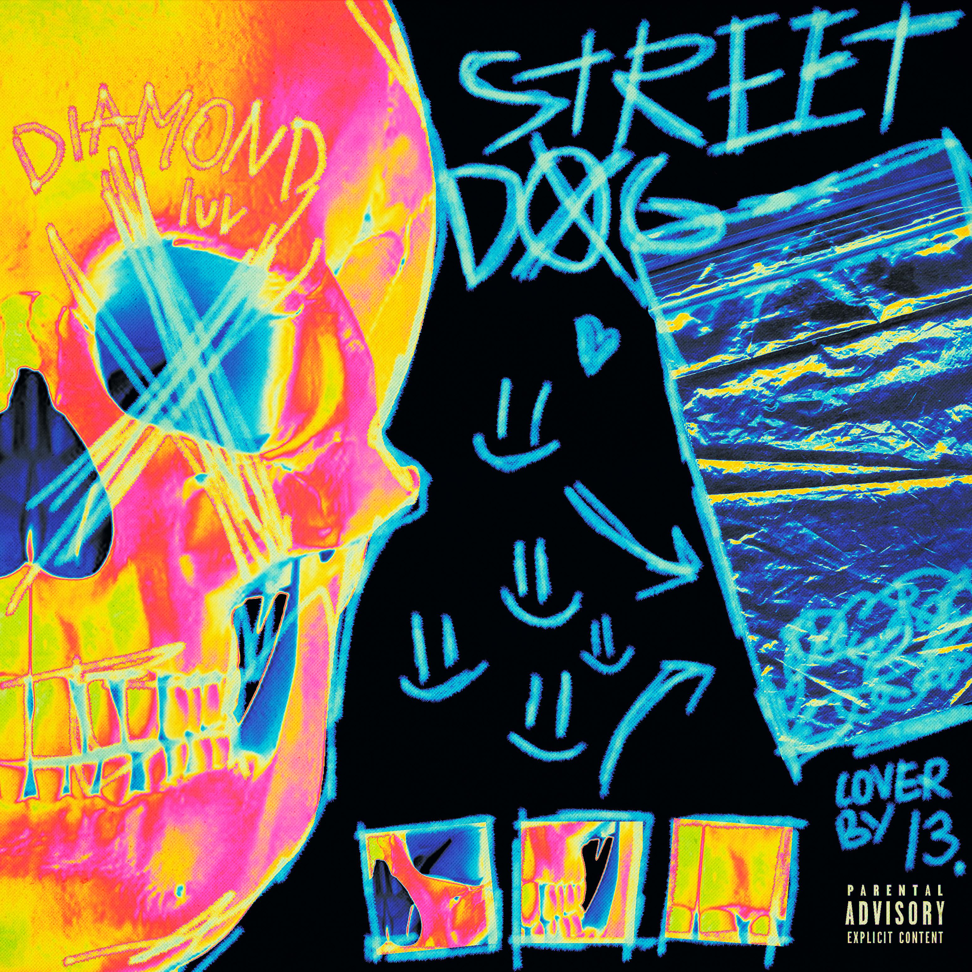 Постер альбома Street Dog