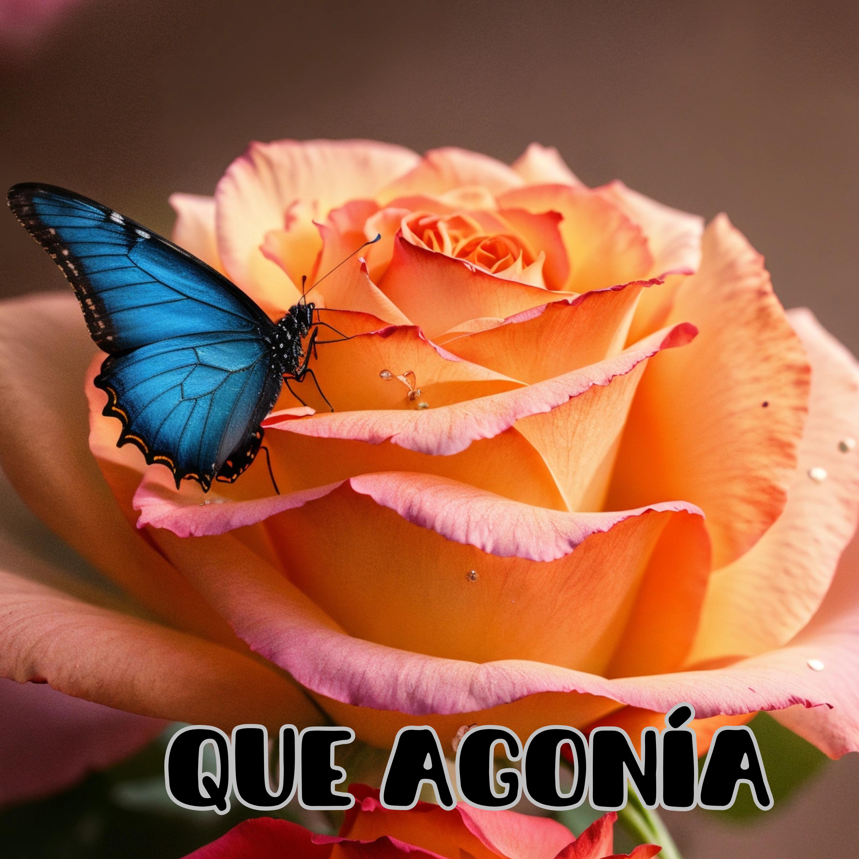 Постер альбома Que Agonía