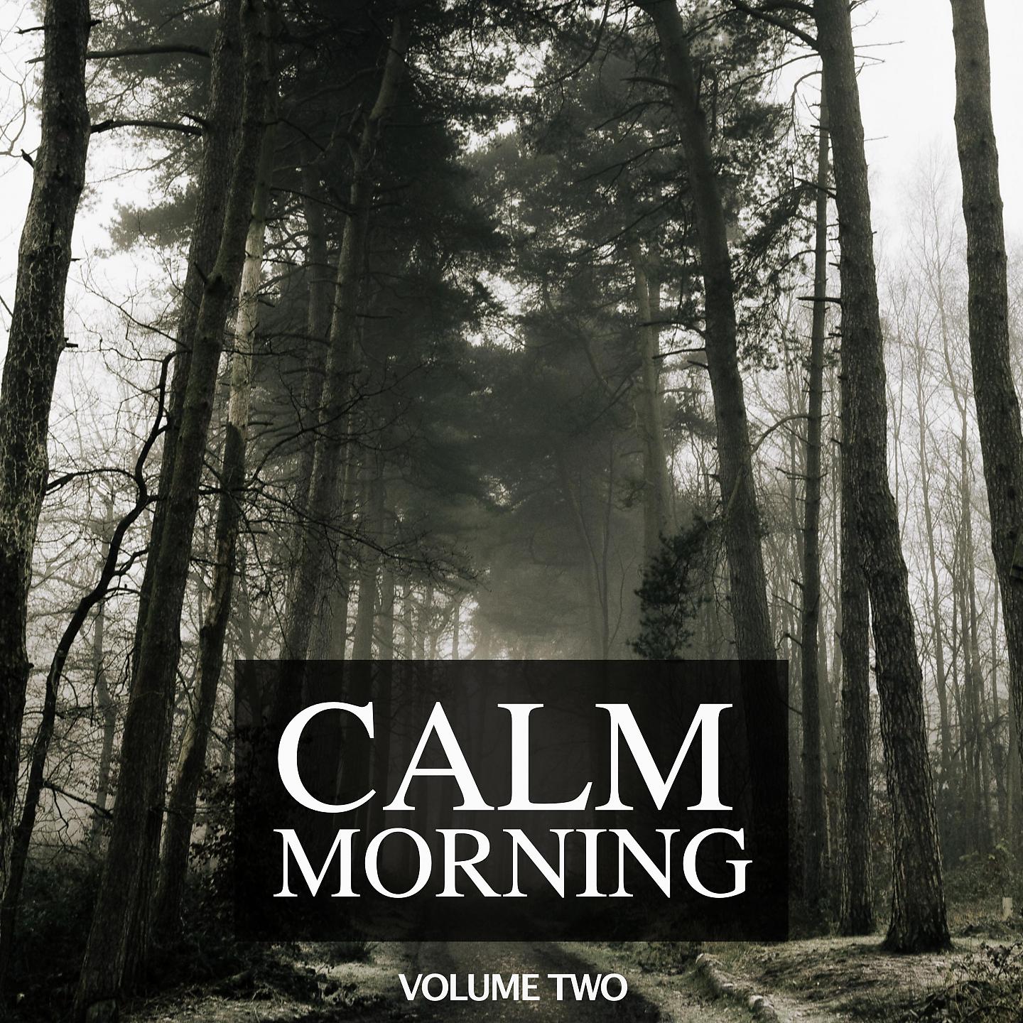 Постер альбома Calm Morning, Vol. 2