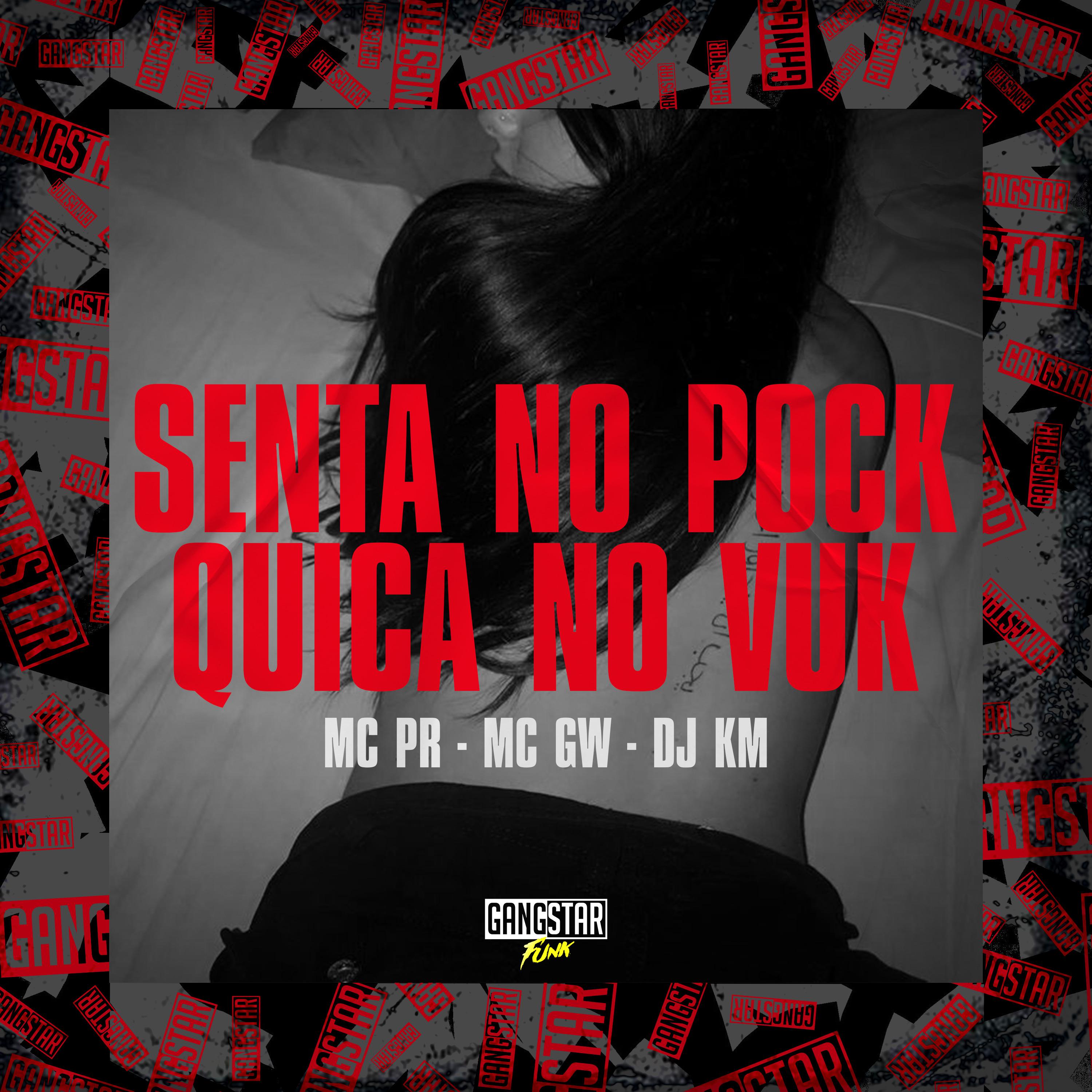 Постер альбома Senta no Pock, Quica no Vuk