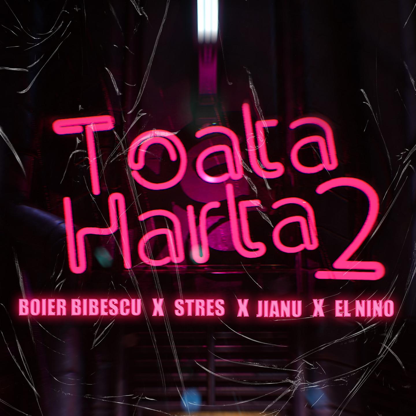 Постер альбома Toata Harta 2