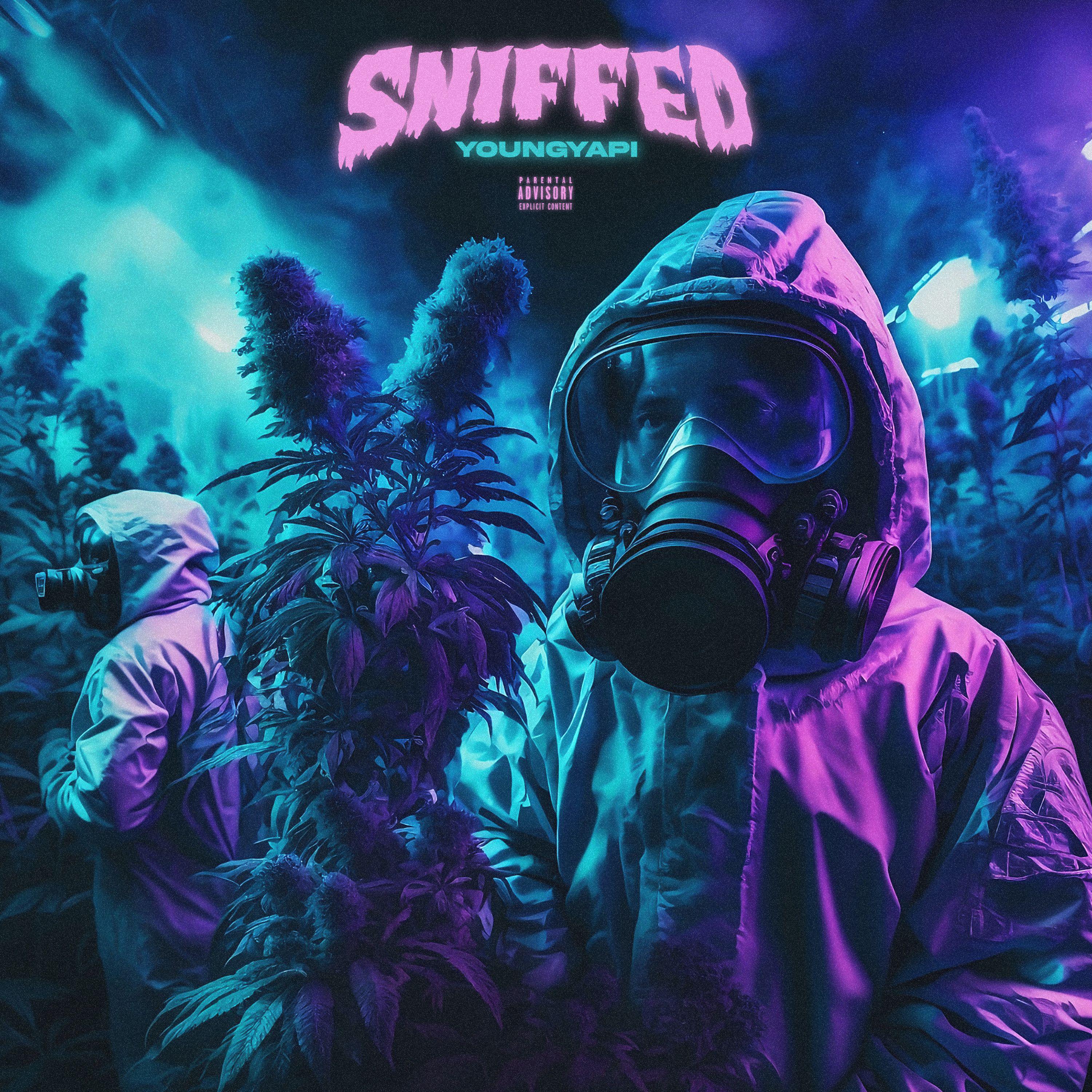Постер альбома SNIFFED