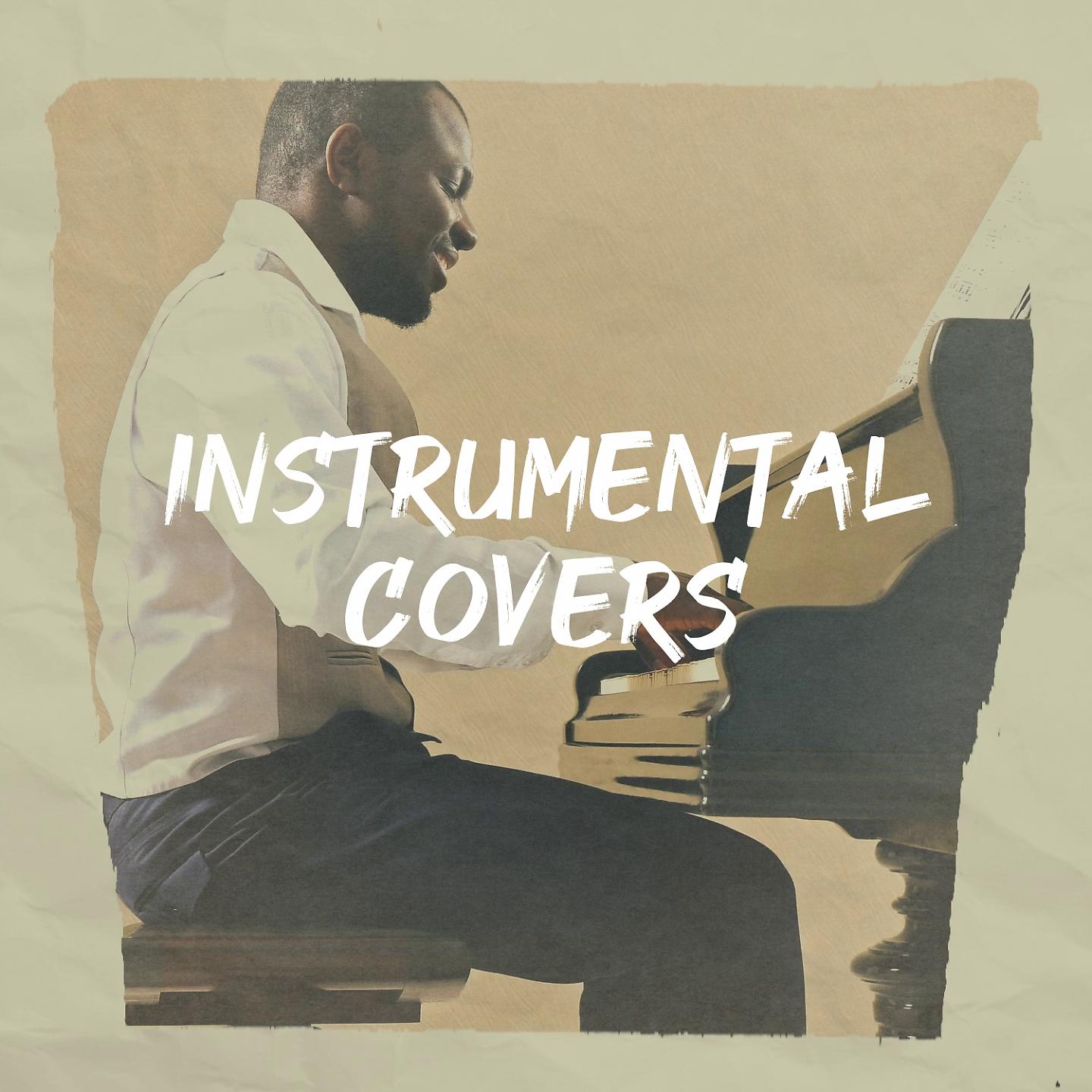 Постер альбома Instrumental Covers