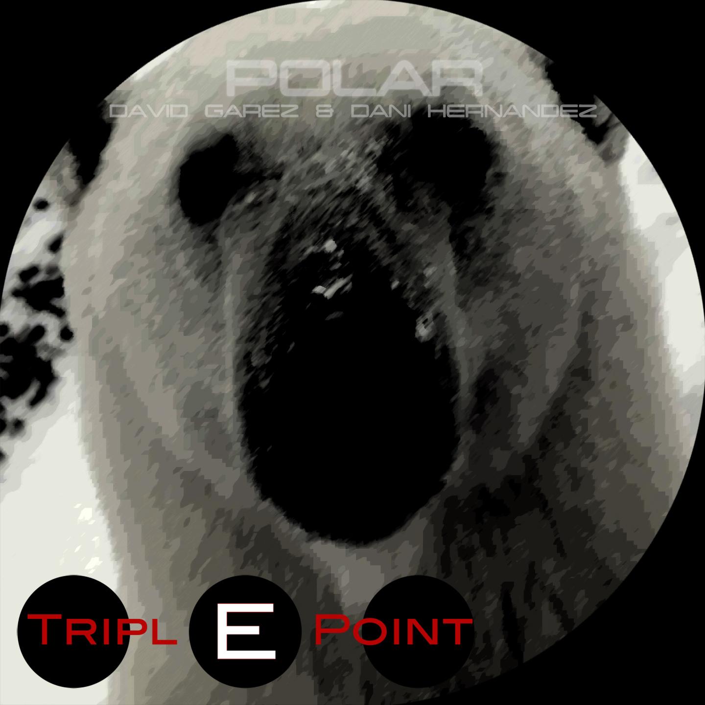 Постер альбома Polar
