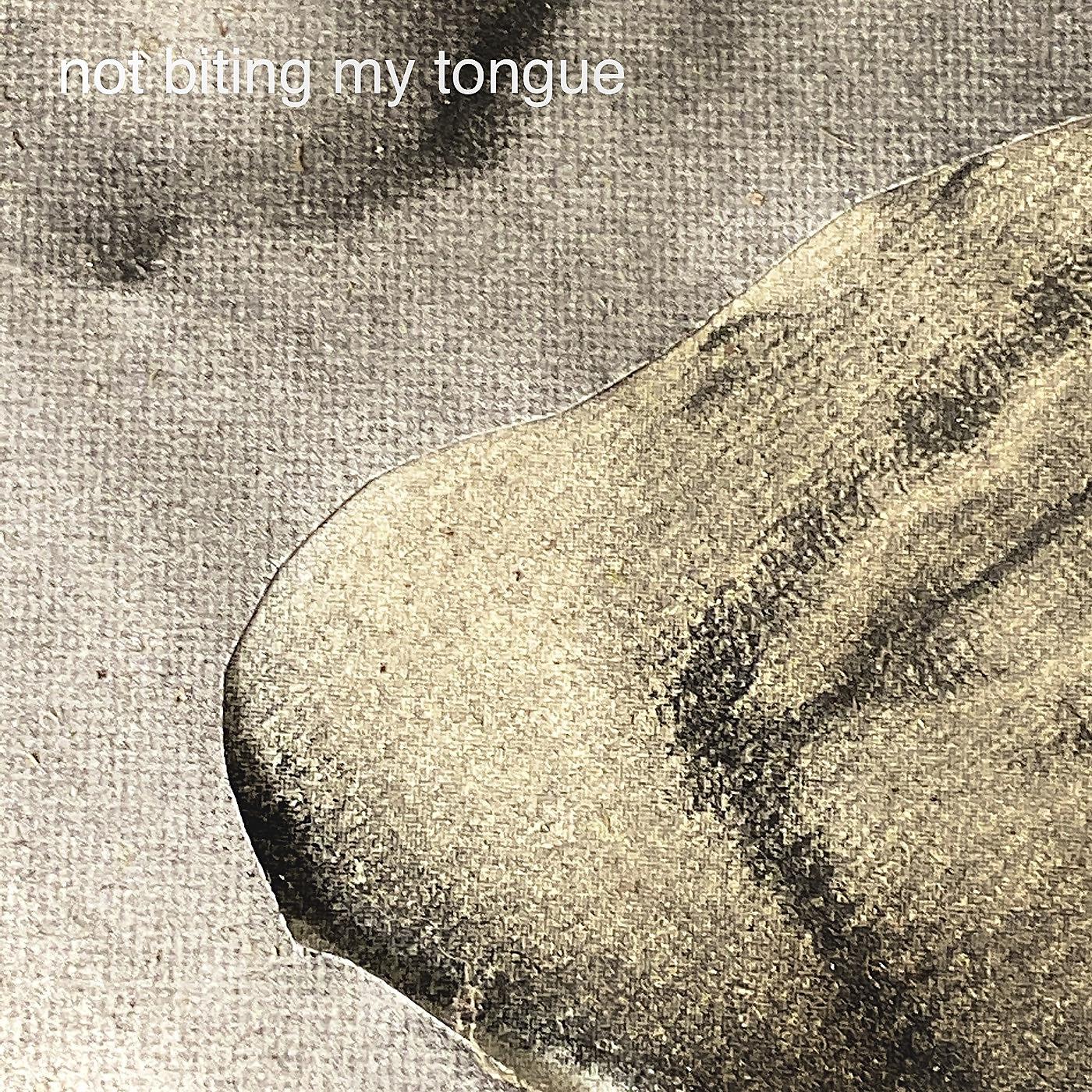 Постер альбома Not Biting My Tongue