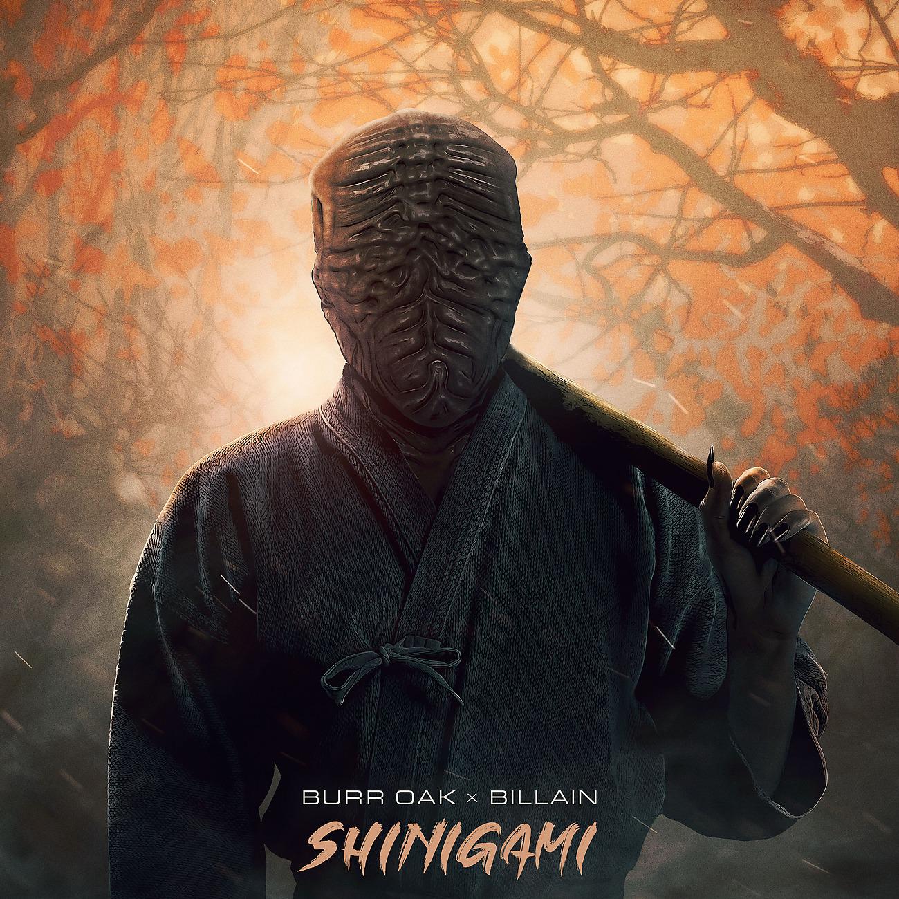 Постер альбома Shinigami / Strafe