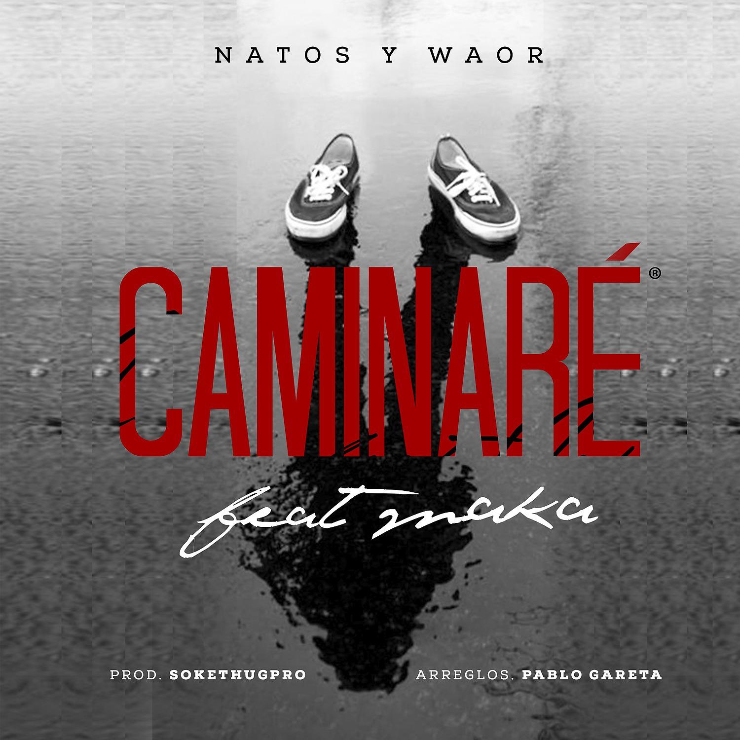 Постер альбома Caminaré