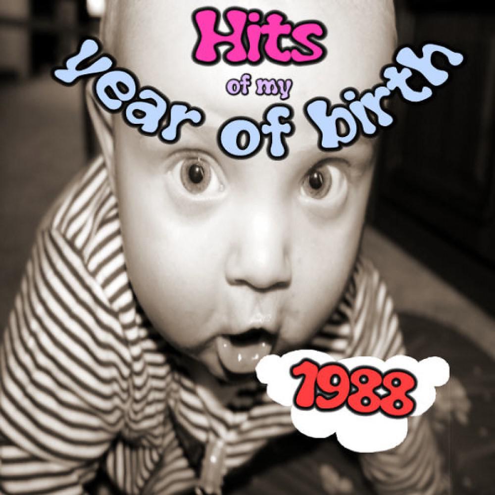 Постер альбома Hits of My Year of Birth-1988 / Hits Aus Meinem Geburtsjahr-1988