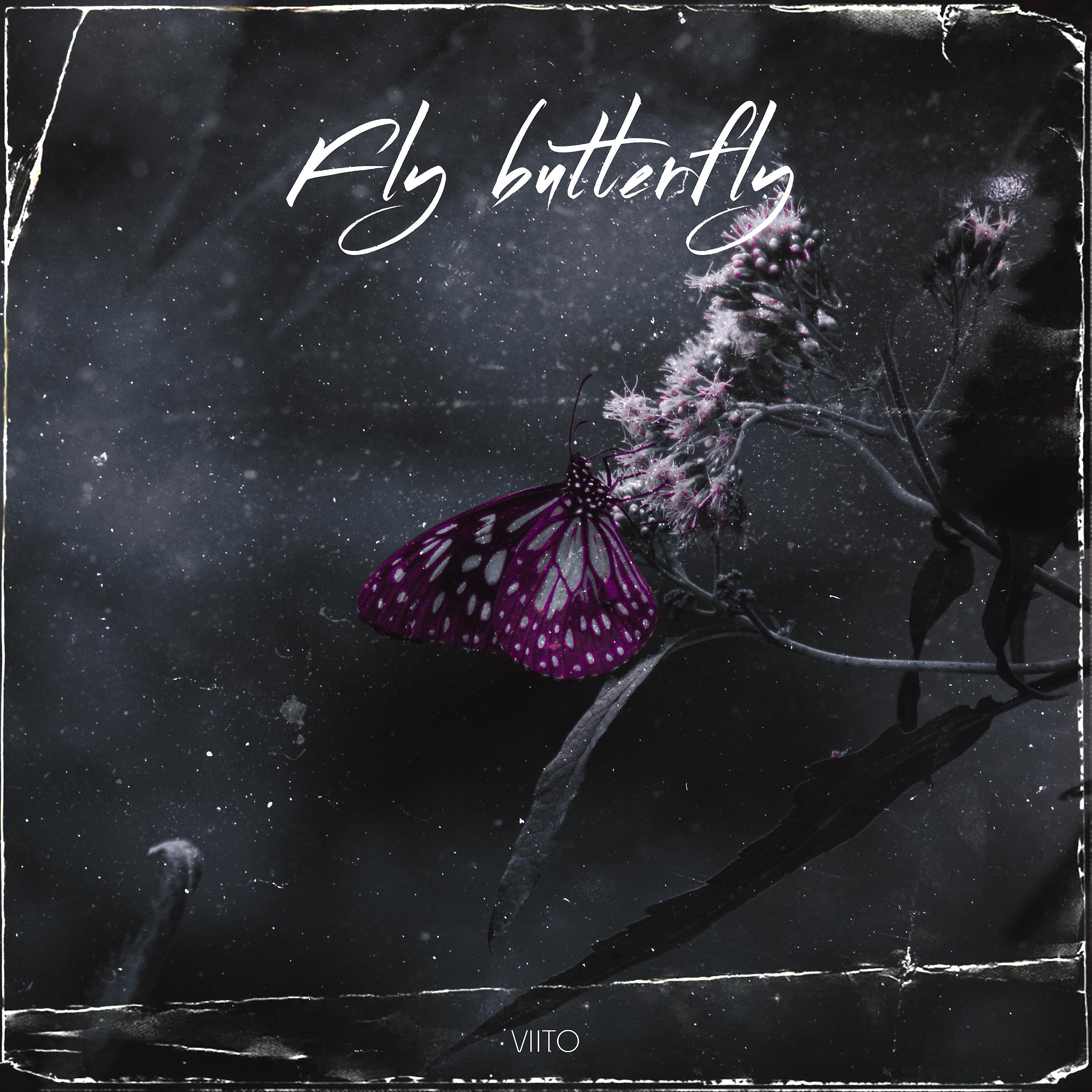 Постер альбома Fly Butterfly