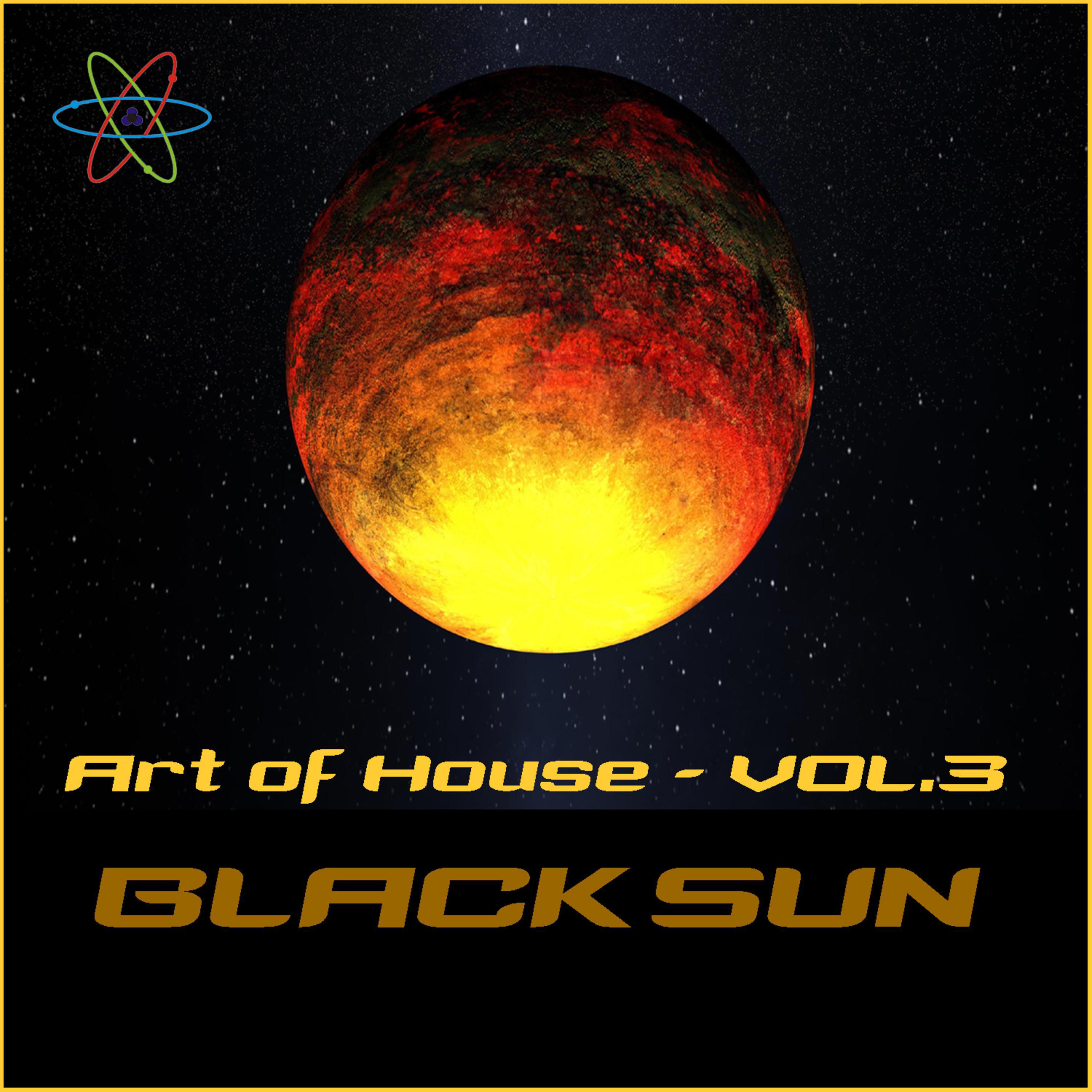 Постер альбома Art Of House VOL.3 (Black Sun)