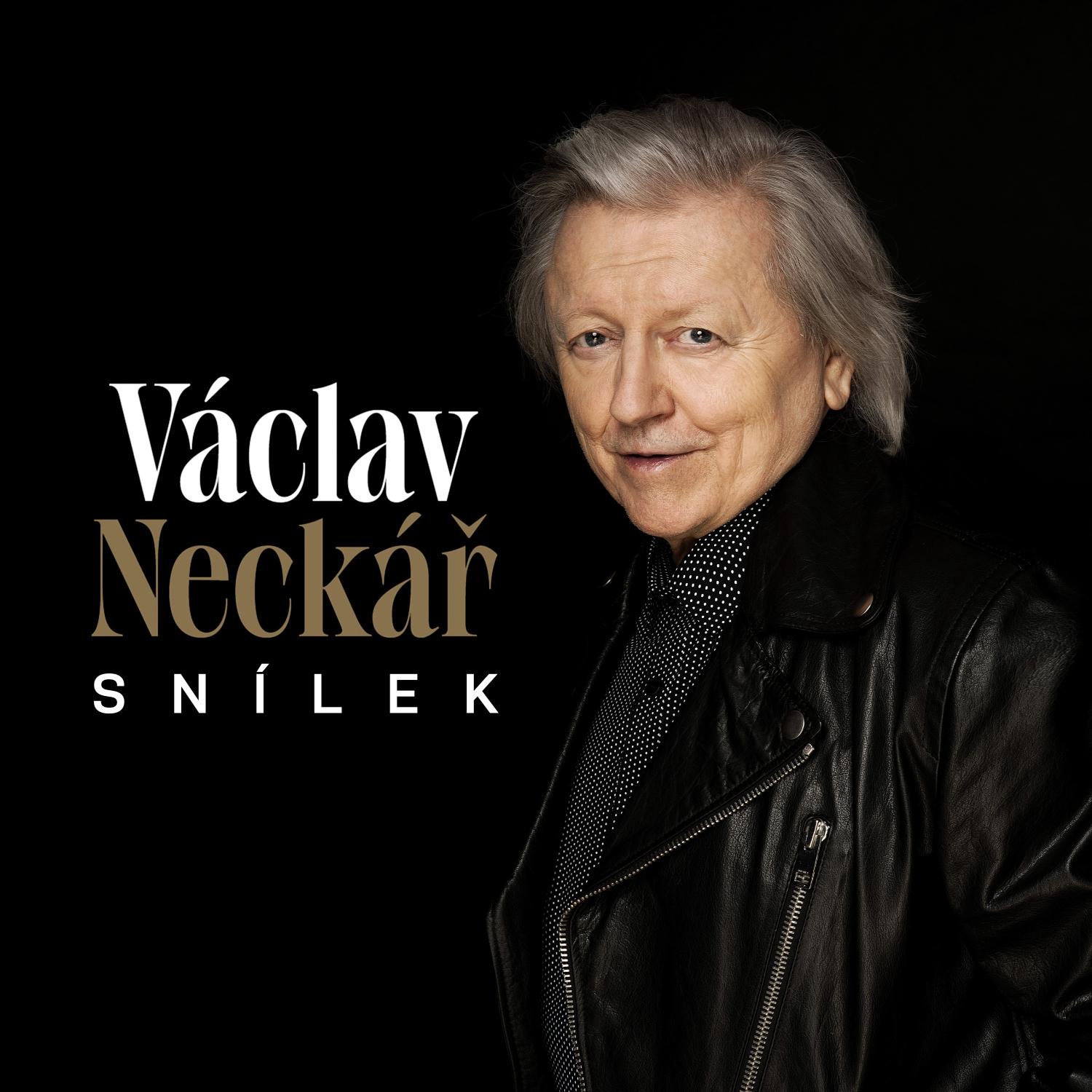 Постер альбома Snílek
