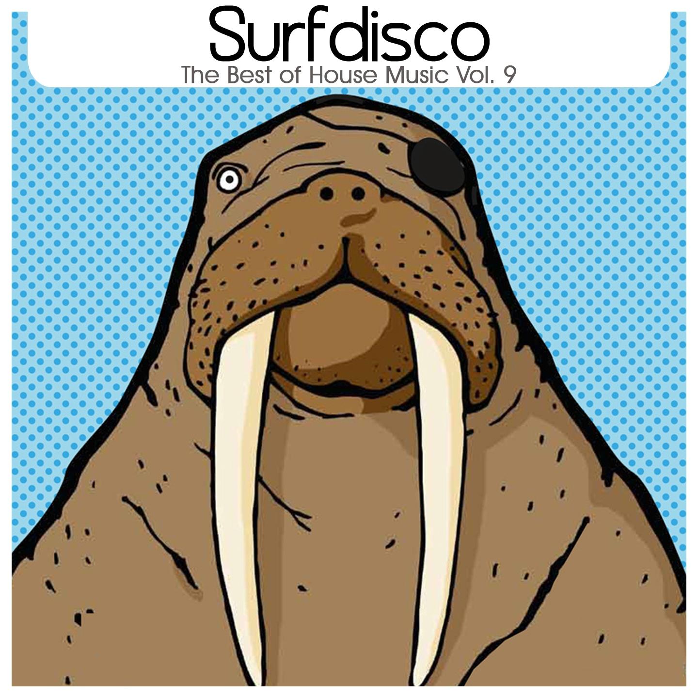 Постер альбома Surfdisco : The Best of House Music, Vol. 9