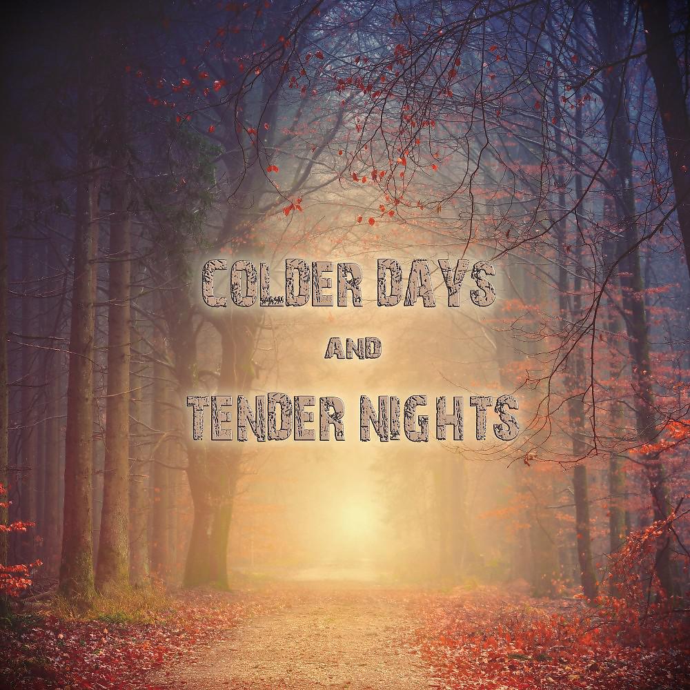 Постер альбома Colder Days & Tender Nights (Songs & Instrumentals for Lovers)