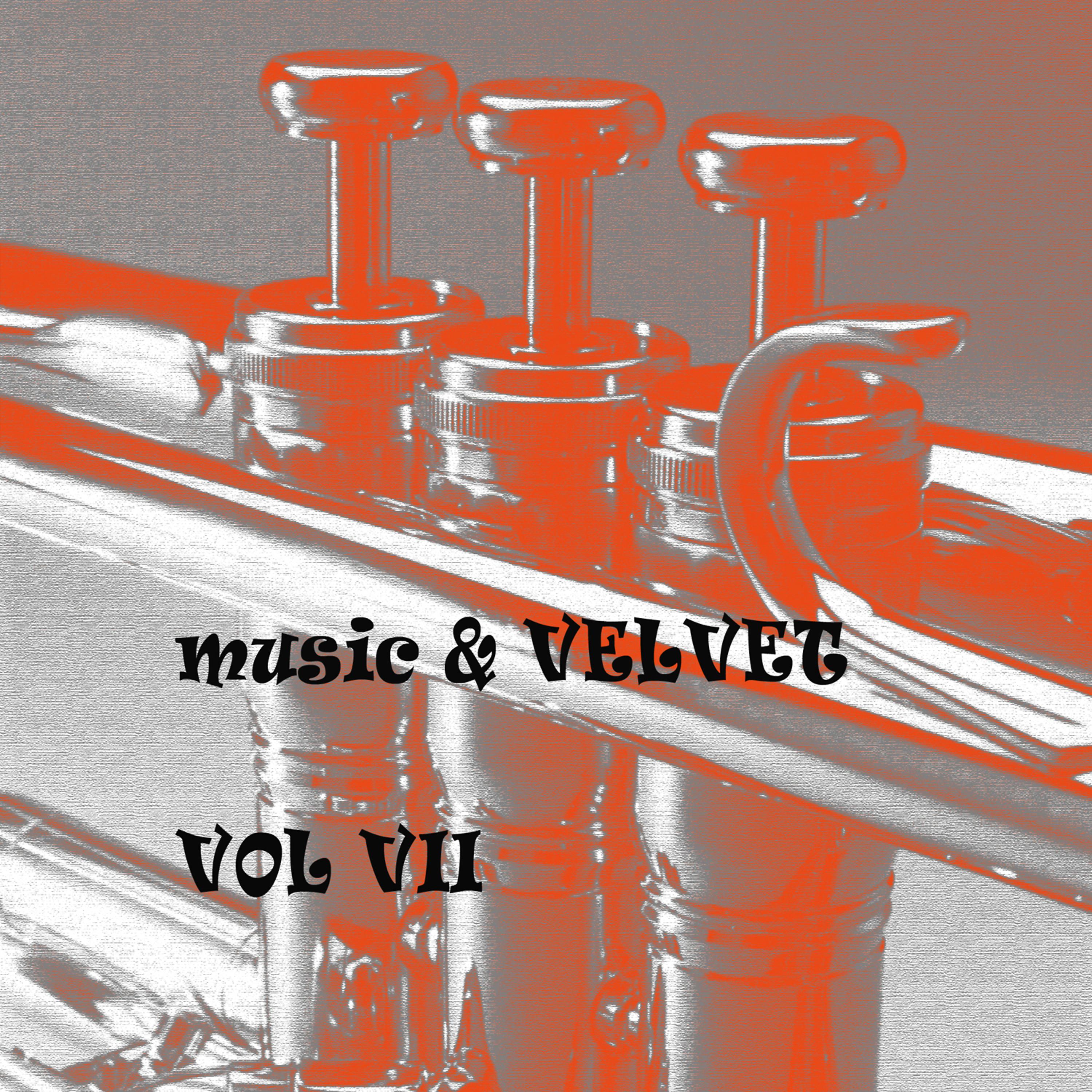 Постер альбома Music & Velvet Vol. VII