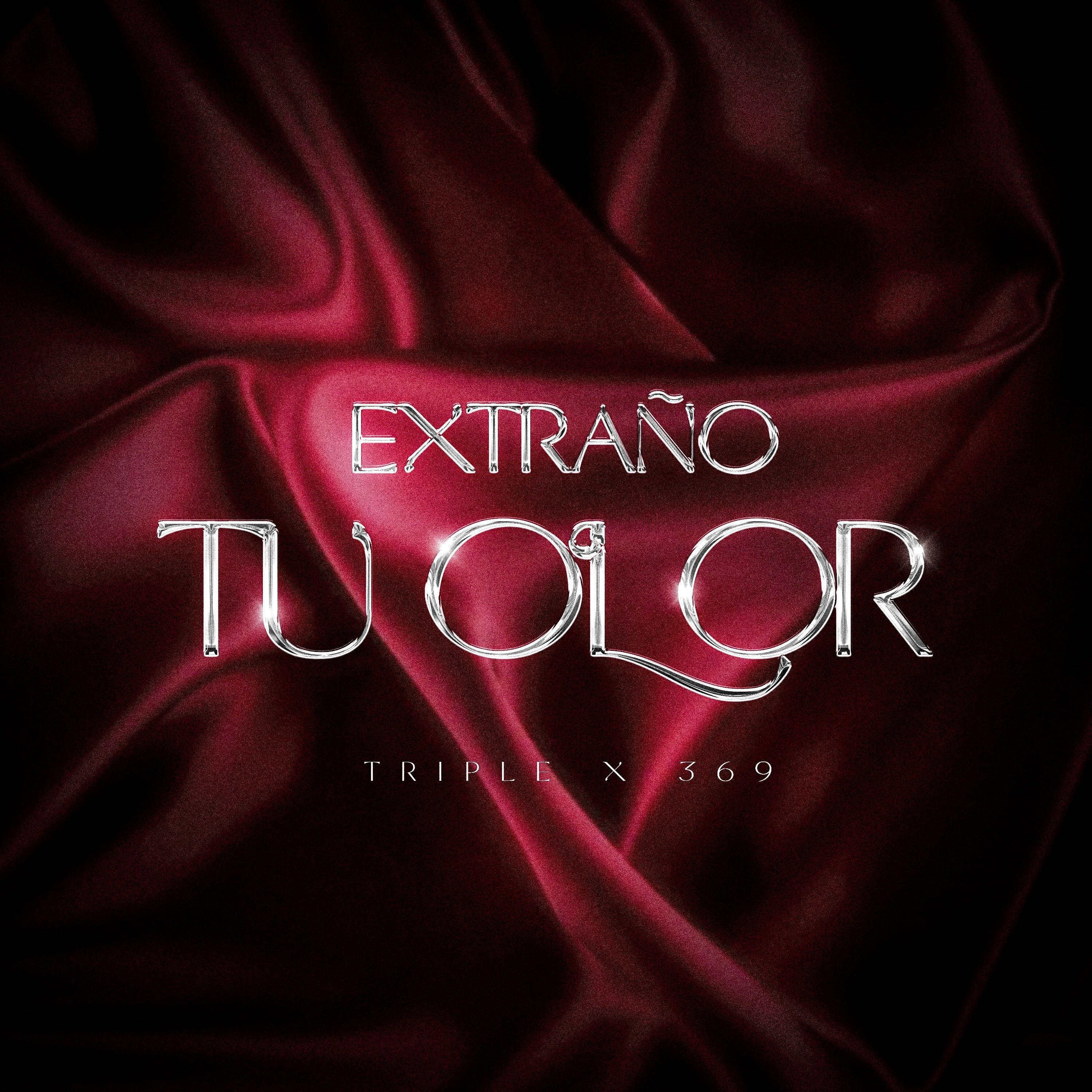 Постер альбома Extraño Tu Olor