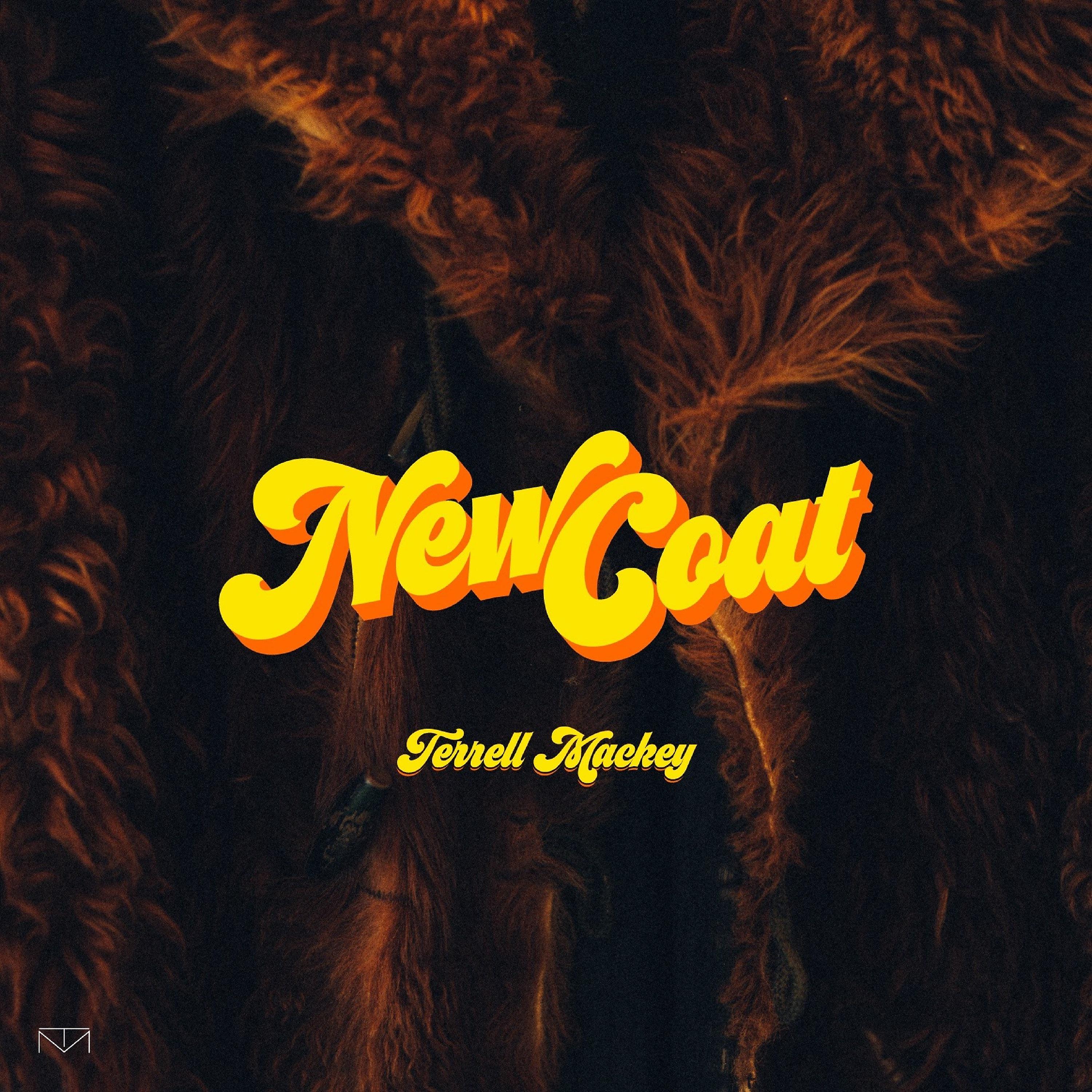 Постер альбома New Coat (Sugadaddy)