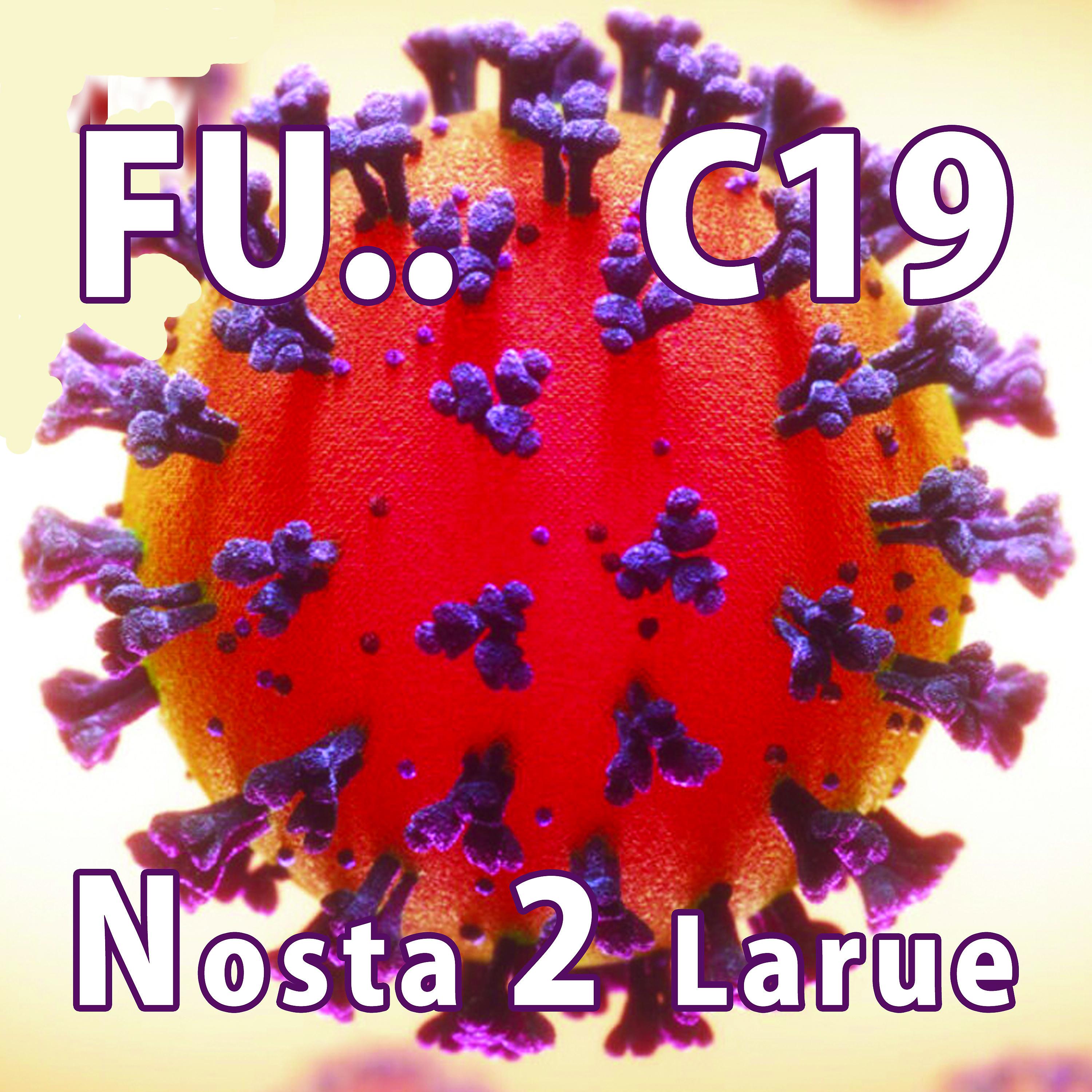 Постер альбома Fuck C19