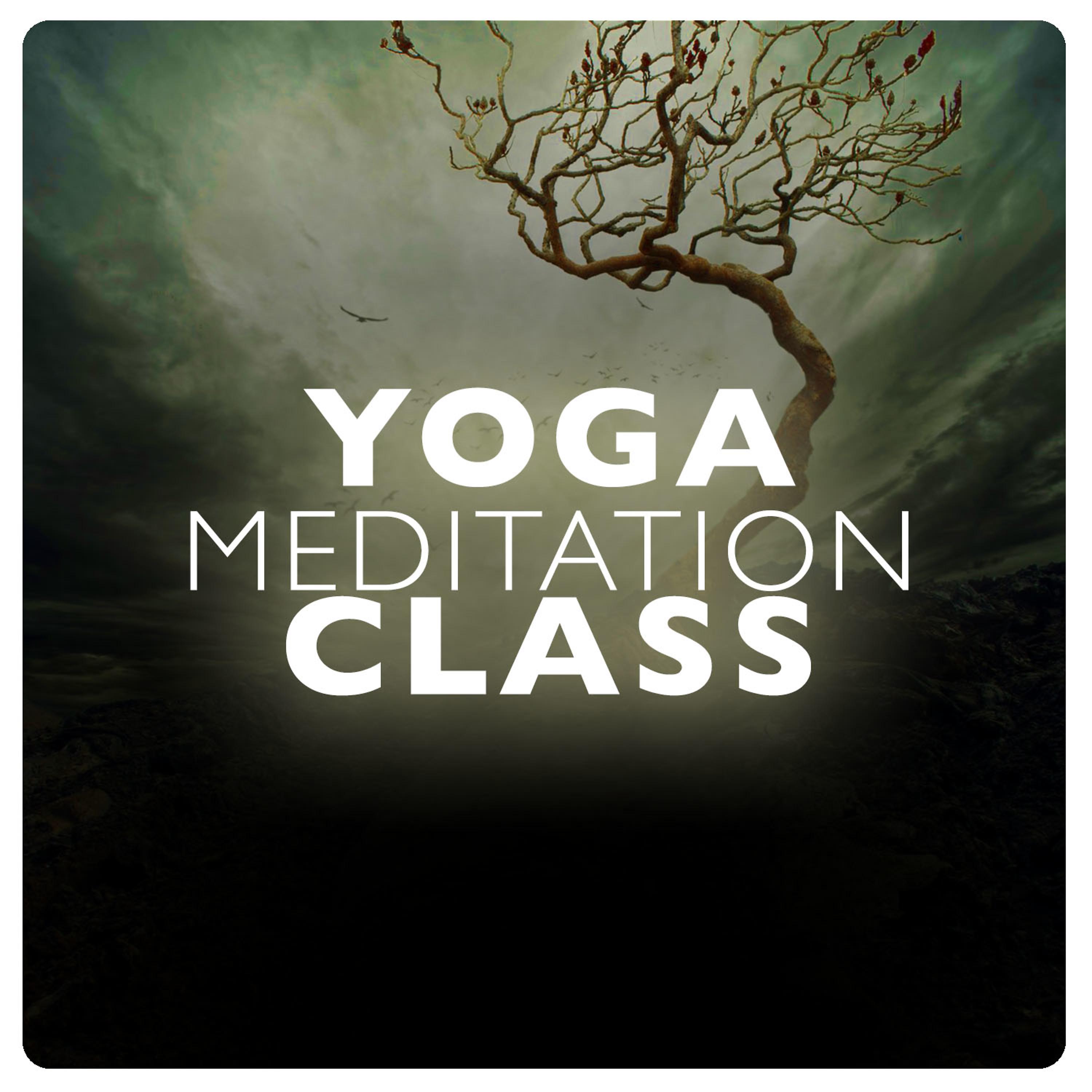 Постер альбома Yoga Meditation Class