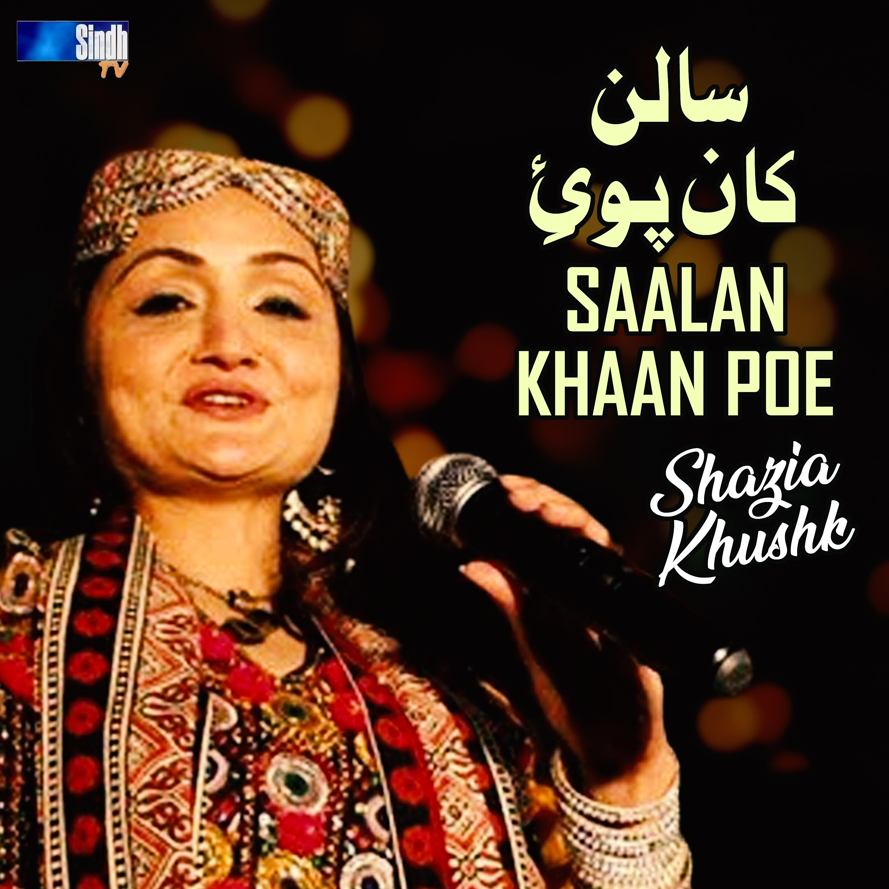 Постер альбома Saalan Khaan Poe - Single