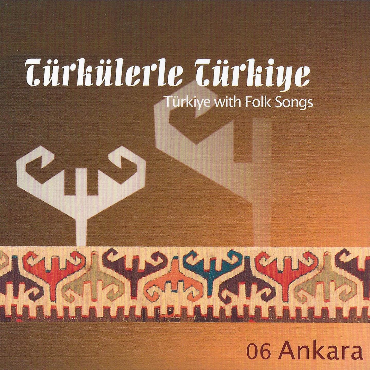 Постер альбома Türkülerle Türkiye, Vol. 6
