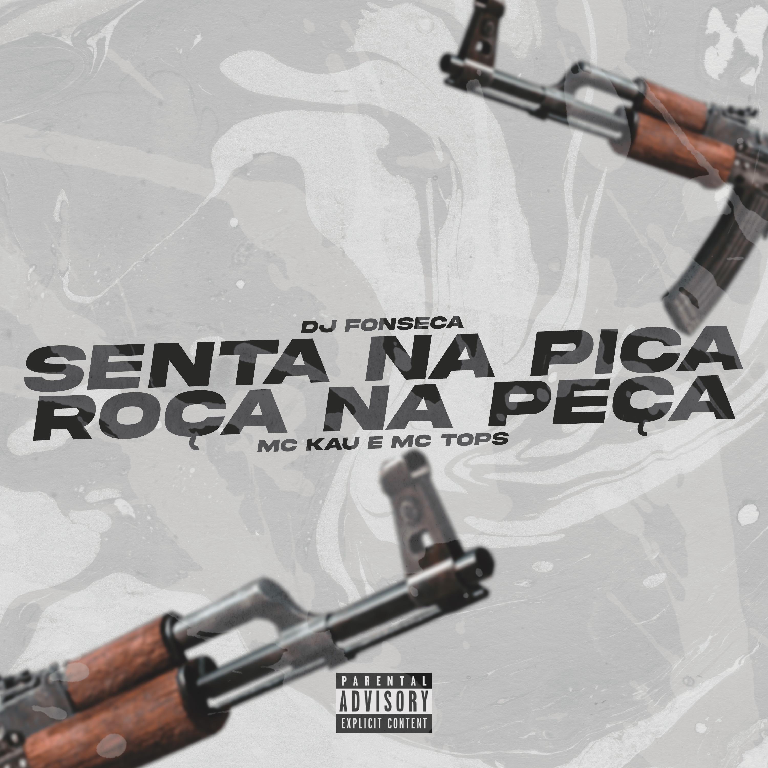 Постер альбома Senta na Pica, Roça na Peça