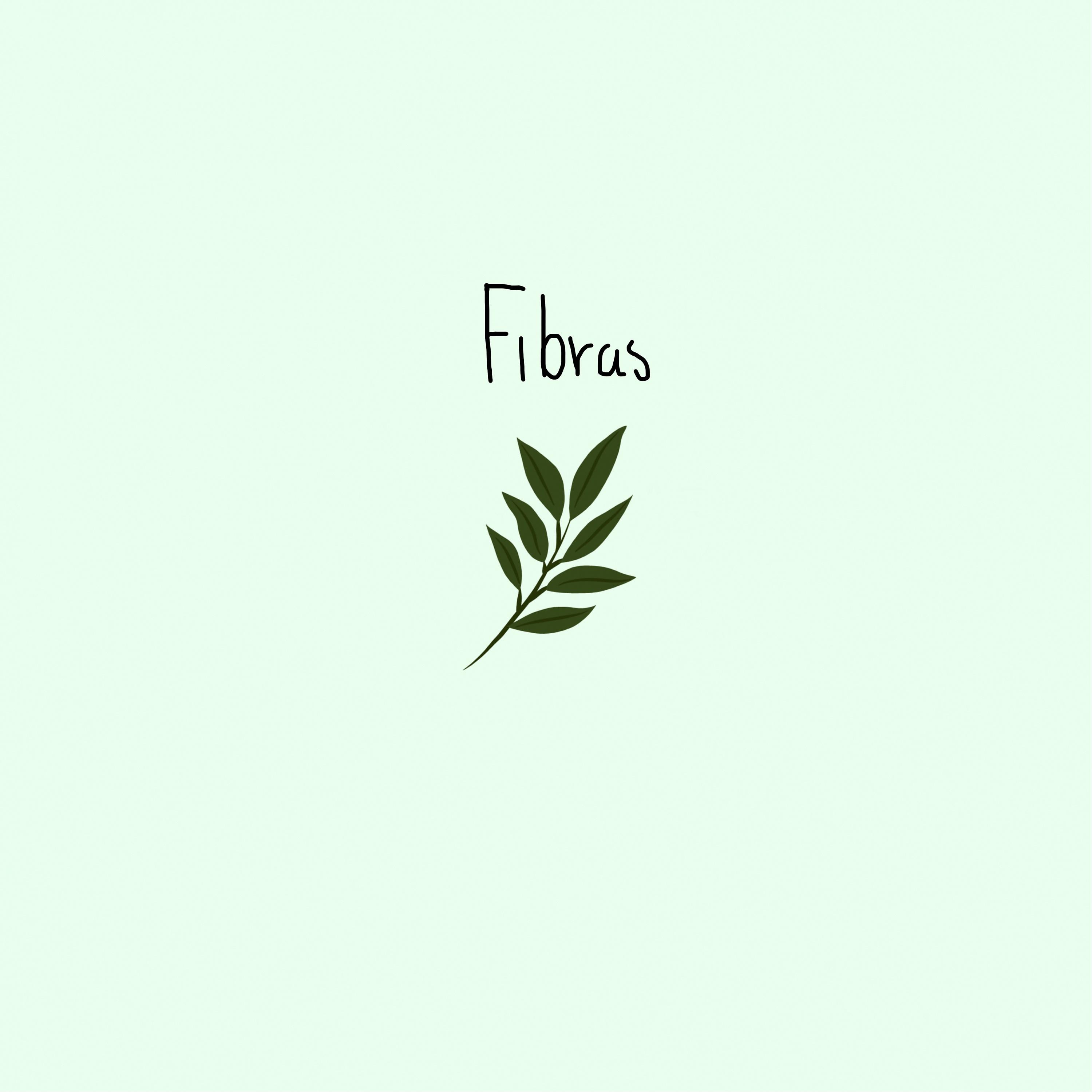 Постер альбома Fibras