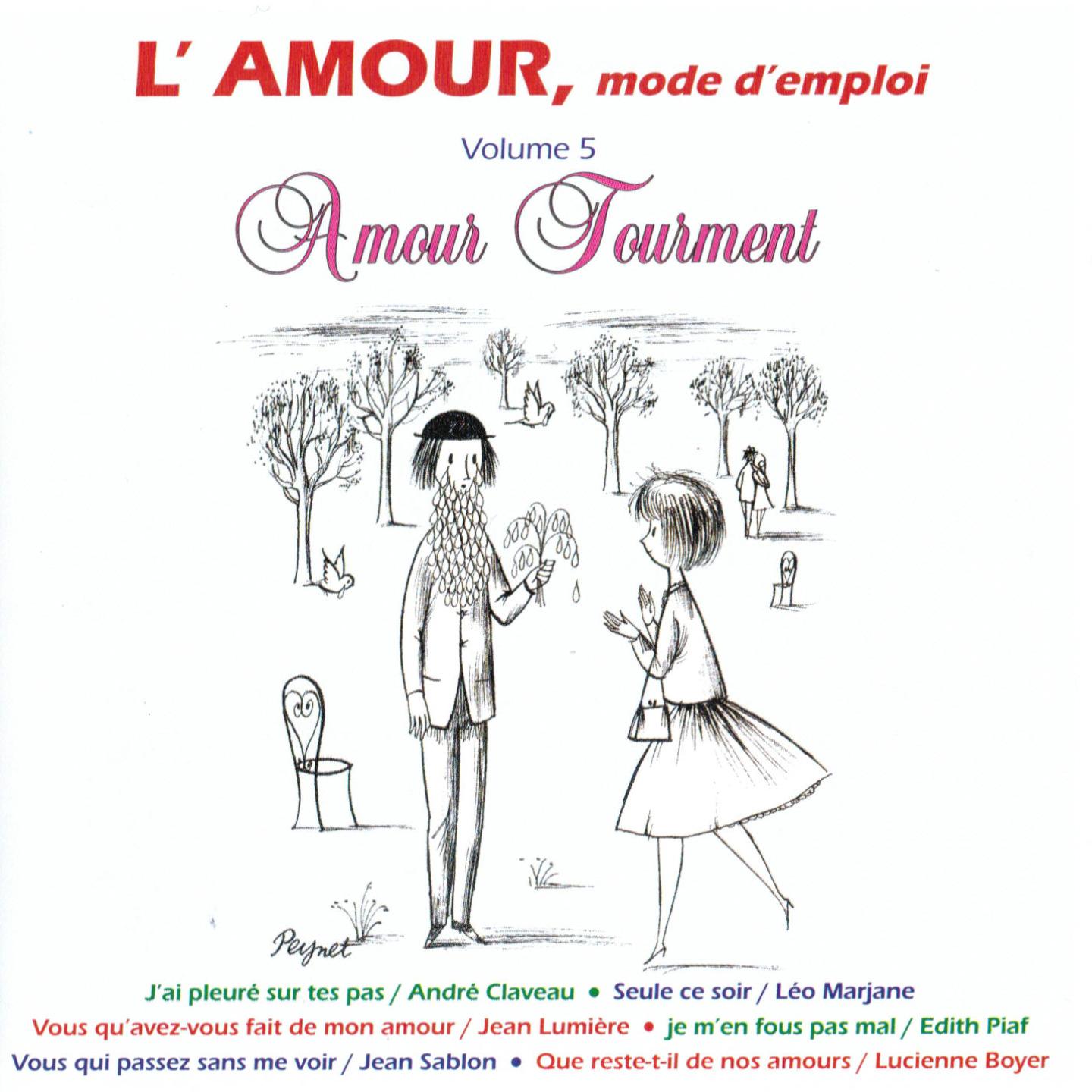 Постер альбома L'amour mode d'emploi, vol. 5 : Amour tourment
