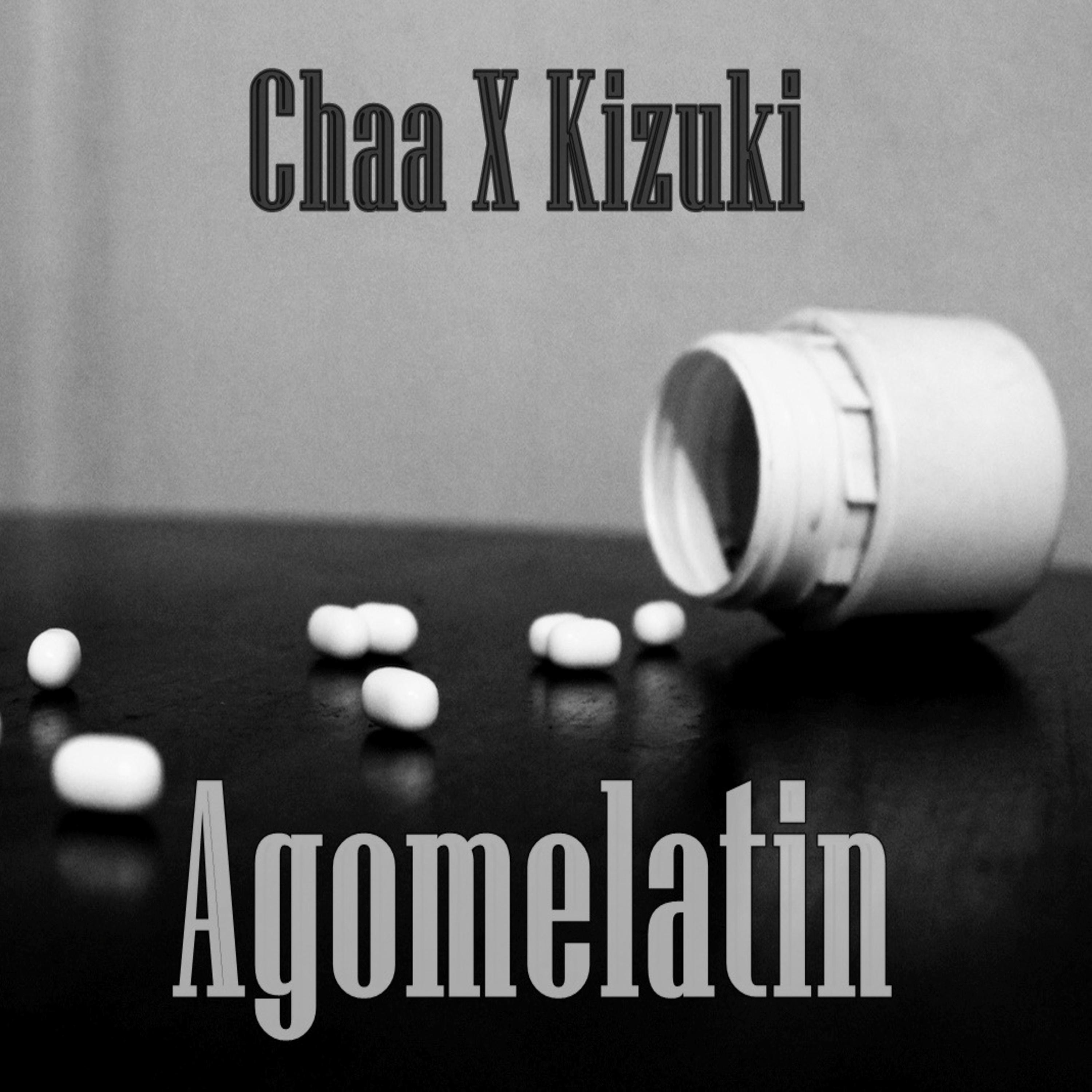 Постер альбома Agomelatin