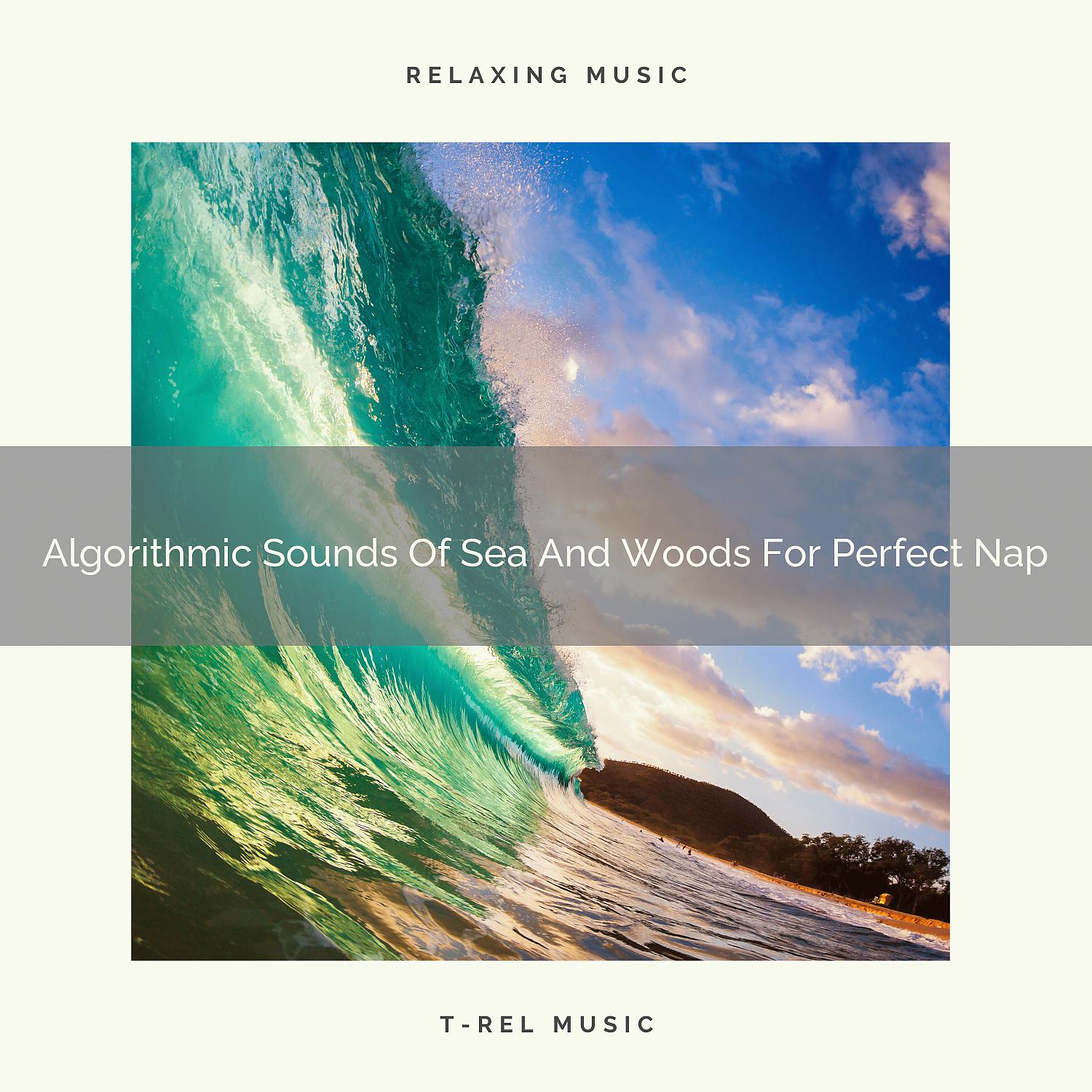 Постер альбома Algorithmic Sounds Of Sea And Woods For Perfect Nap