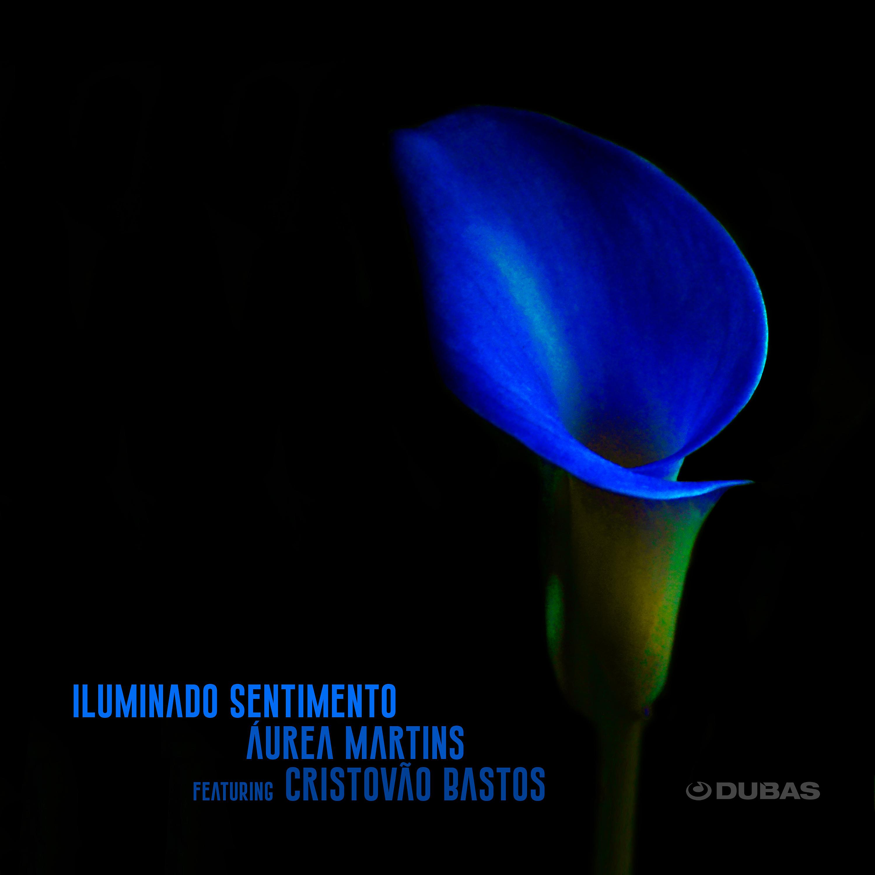 Постер альбома Iluminado Sentimento