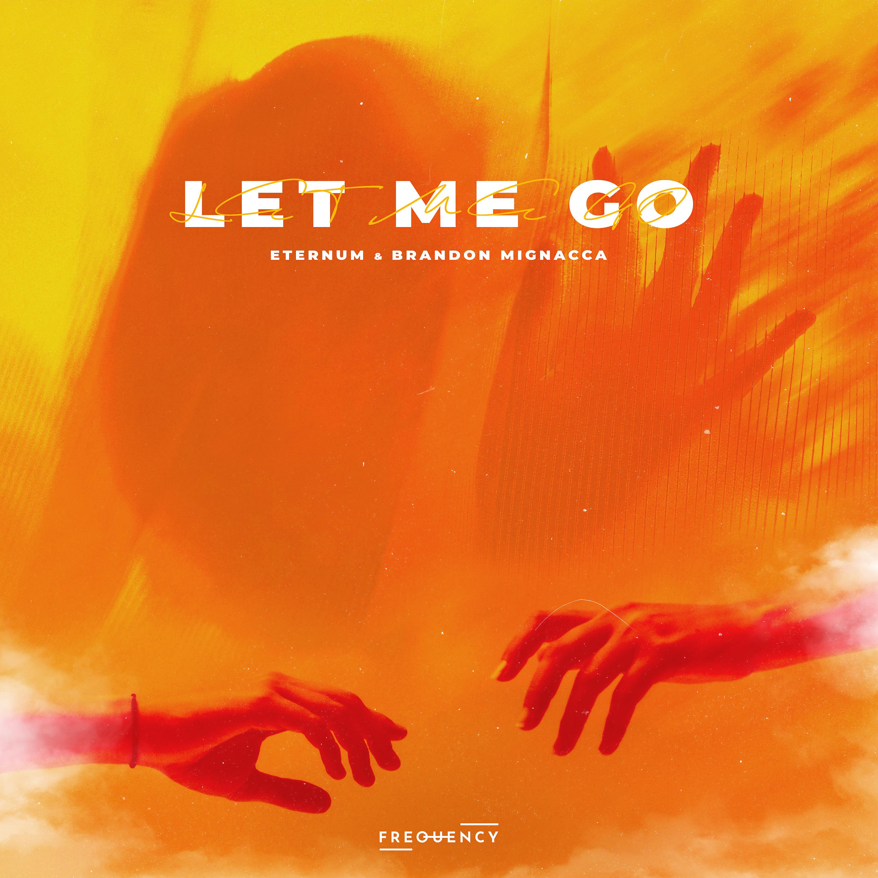 Постер альбома Let Me Go (feat. Brandon Mignacca)