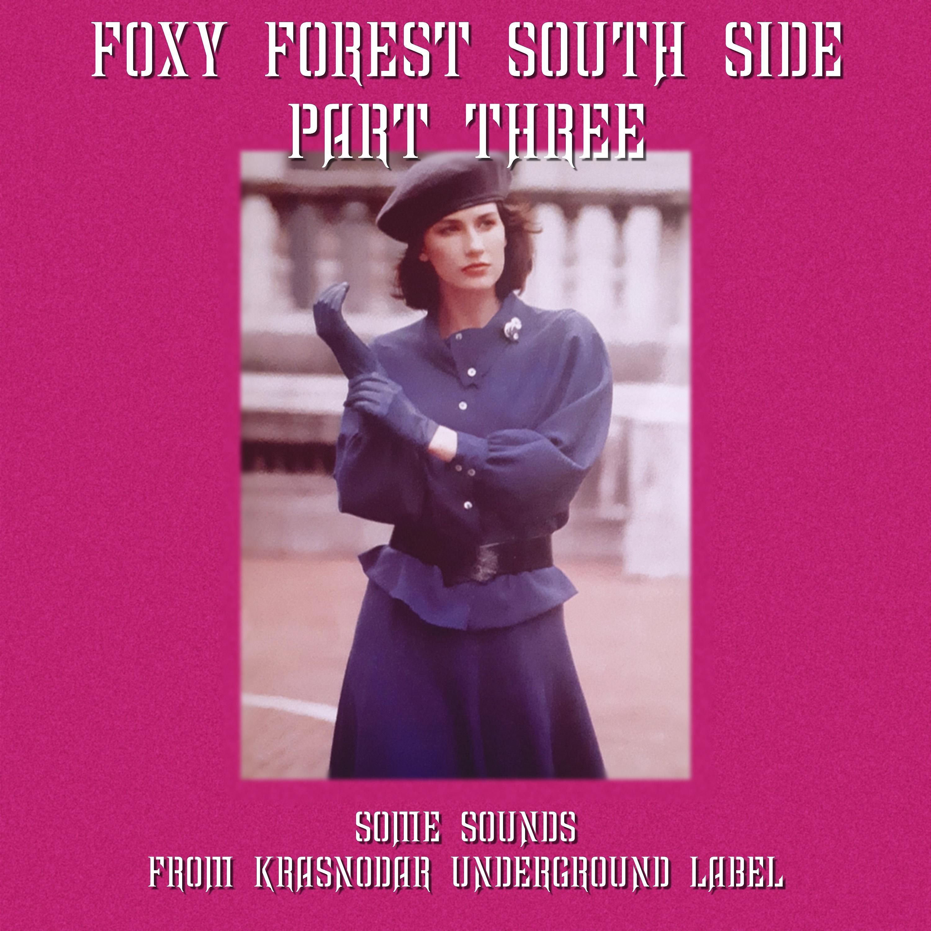 Постер альбома Foxy Forest South Side, Part Three (Some Sounds From Krasnodar Underground Label)