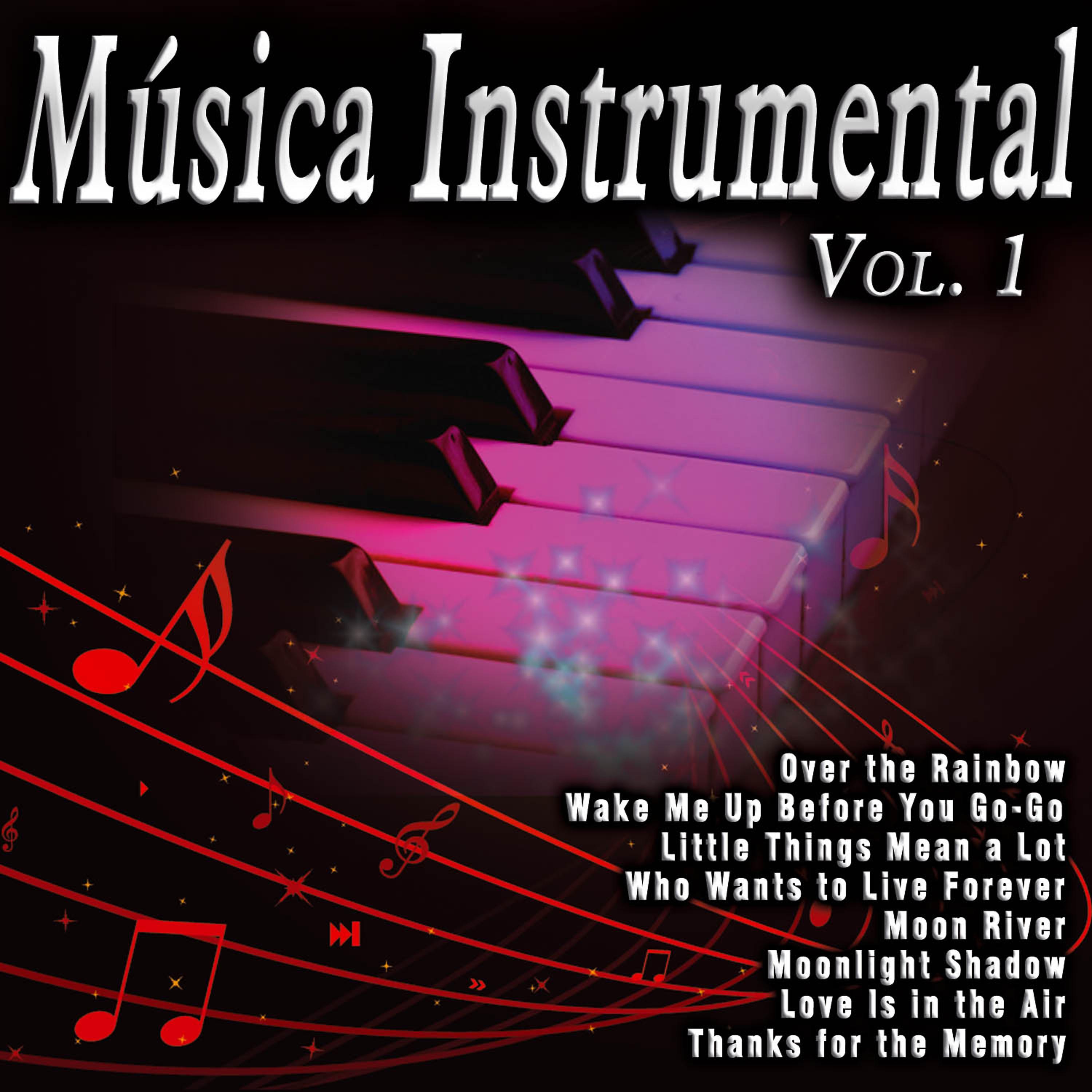Постер альбома Música Instrumental Vol. 1