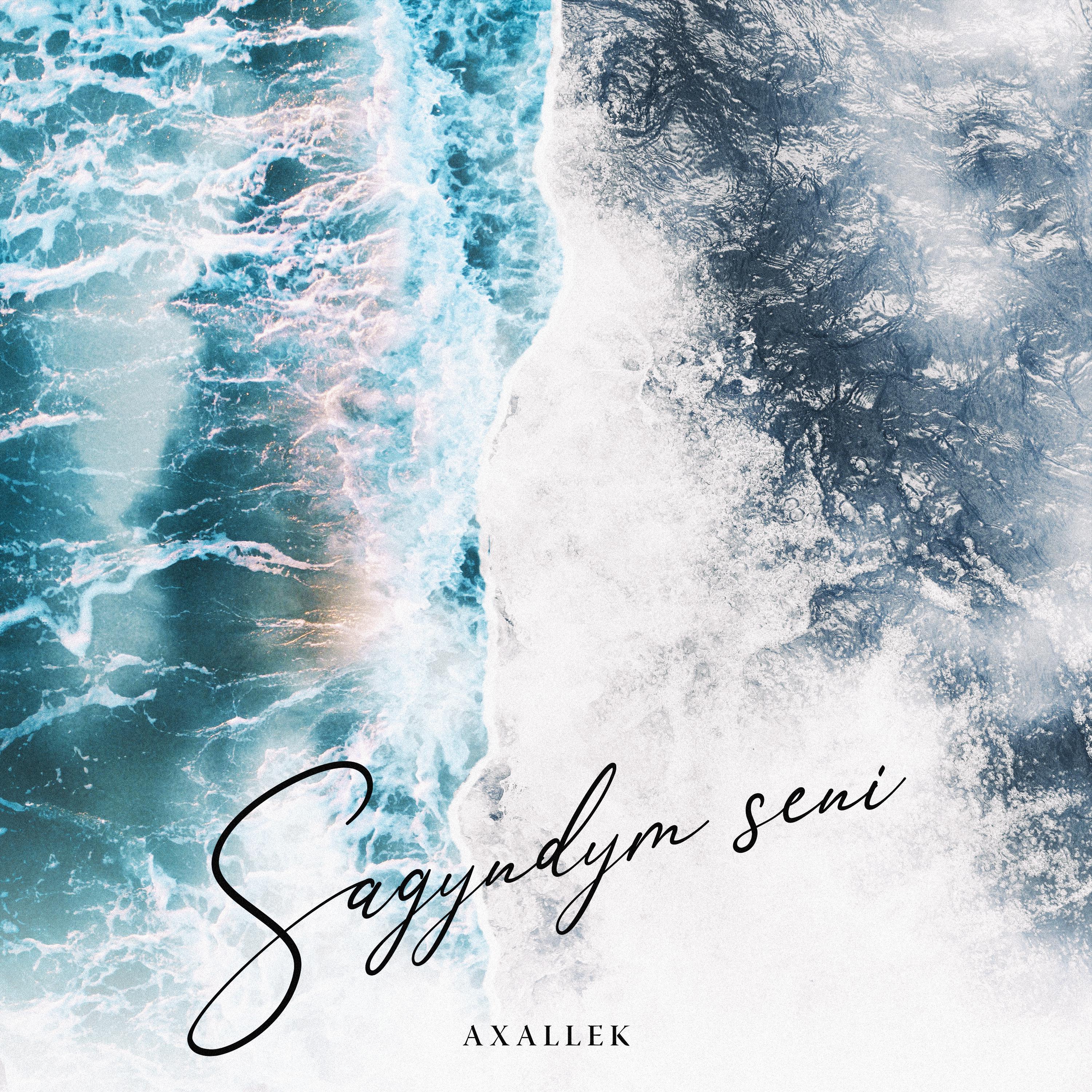 Постер альбома Sagyndym seni