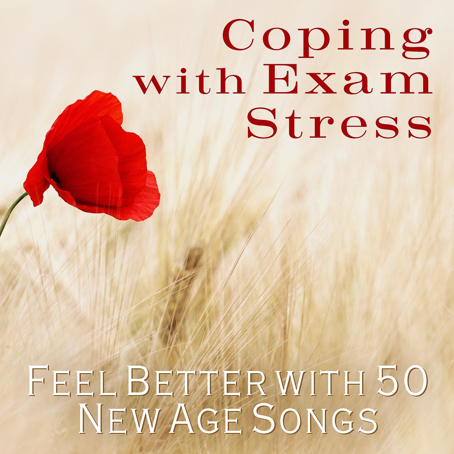 Постер альбома Coping with Exam Stress: Feel Better with 50 New Age Songs, Deep Relaxation Instrumental Music, Positive Energy, Mindfulness Training