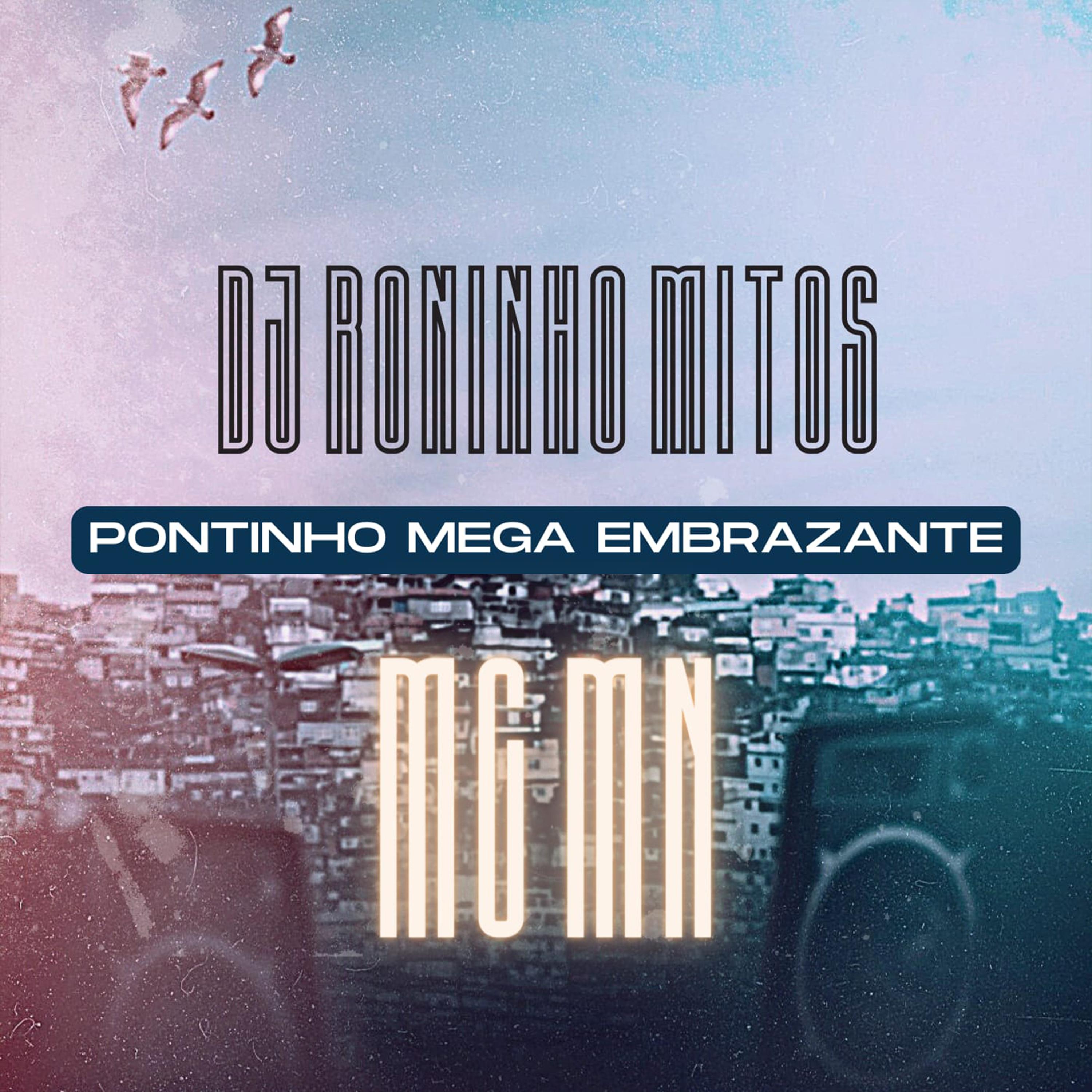Постер альбома Pontinho Mega Embrazante
