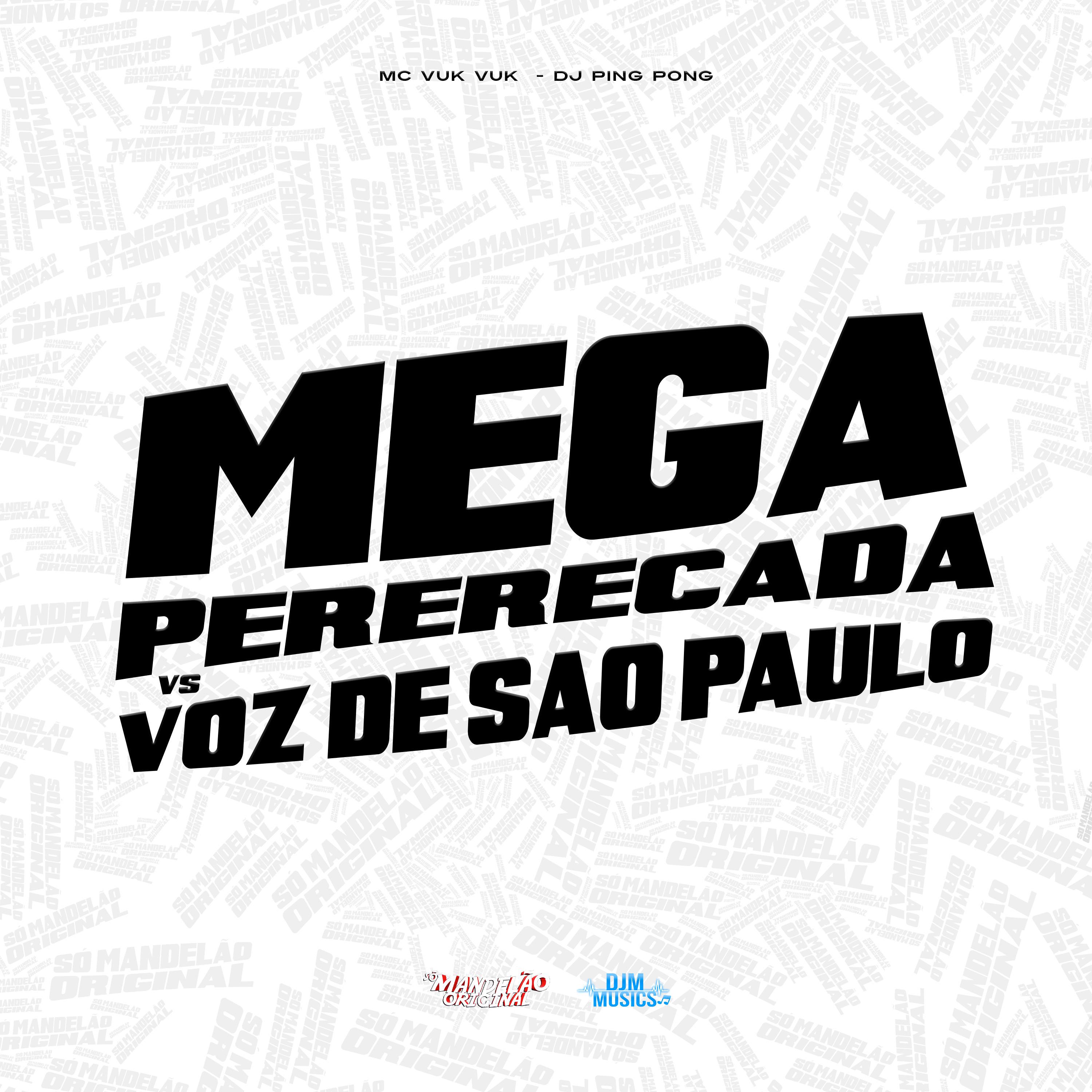 Постер альбома Mega Pererecada Vs Voz de Sao Paulo