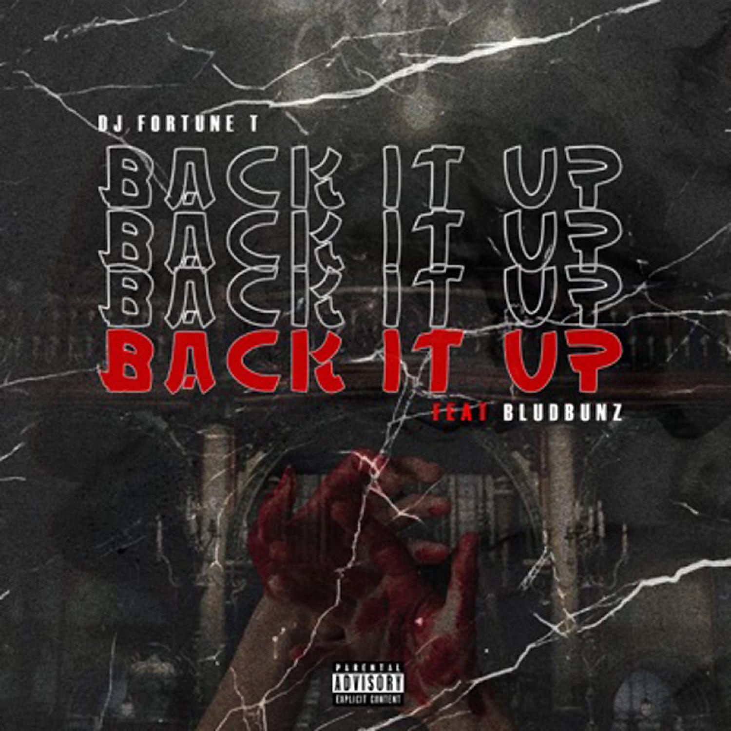 Постер альбома Back It Up (feat. Bludbunz)