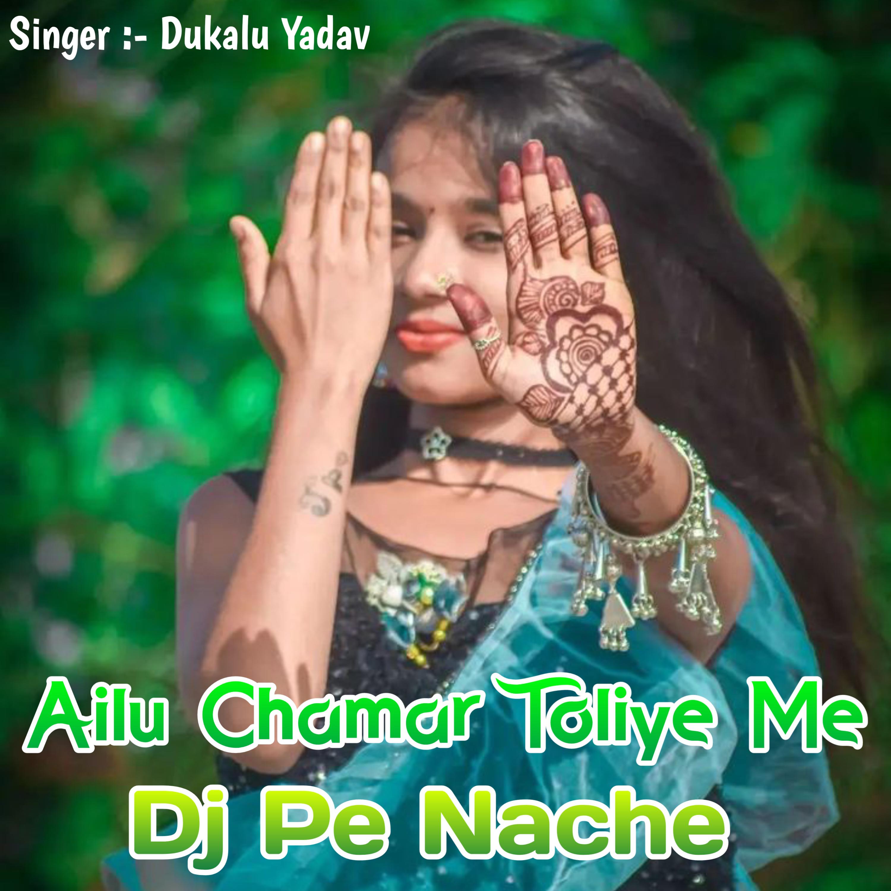 Постер альбома Ailu Chamar Toliya Me Dj Pe Nache