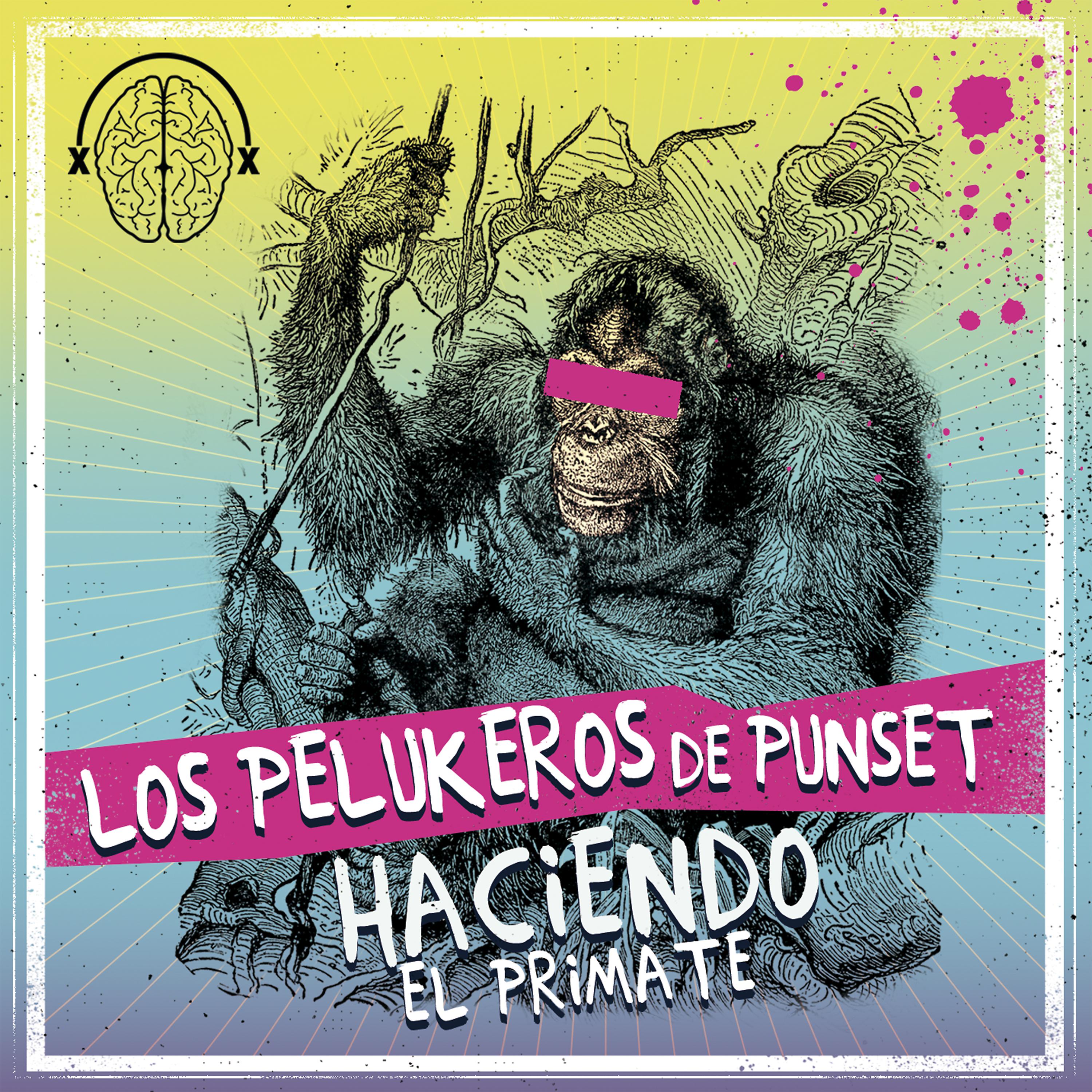 Постер альбома Haciendo el Primate