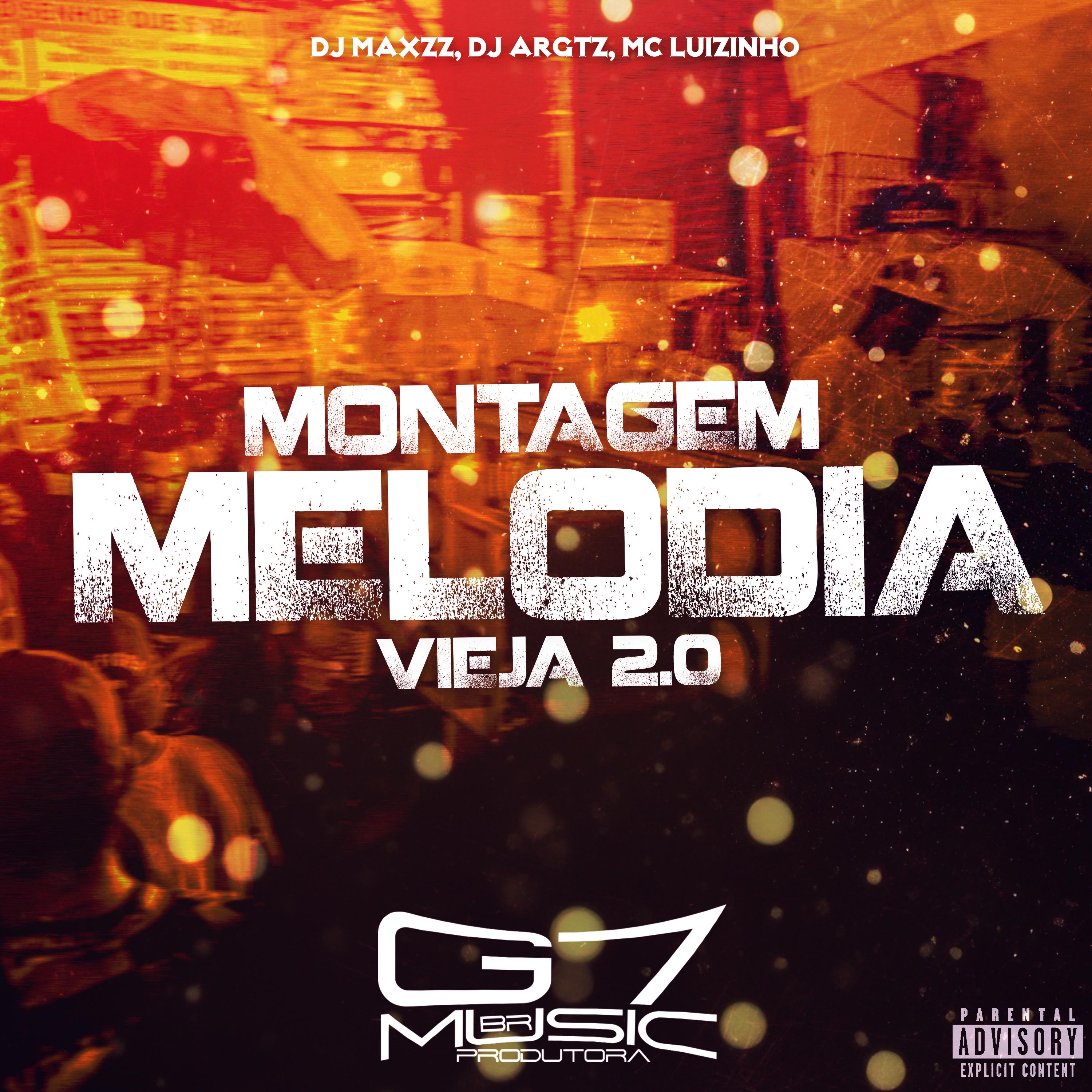 Постер альбома Montagem Melodia Vieja 2.0
