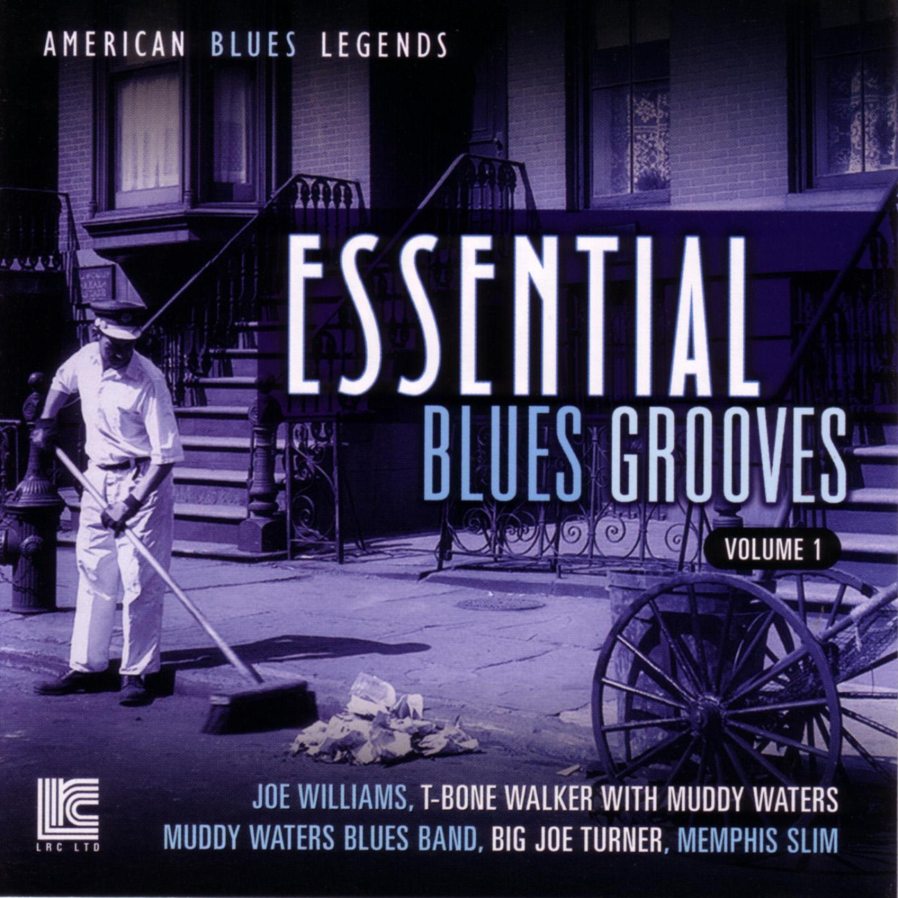 Постер альбома Essential Blues Grooves Vol. 1