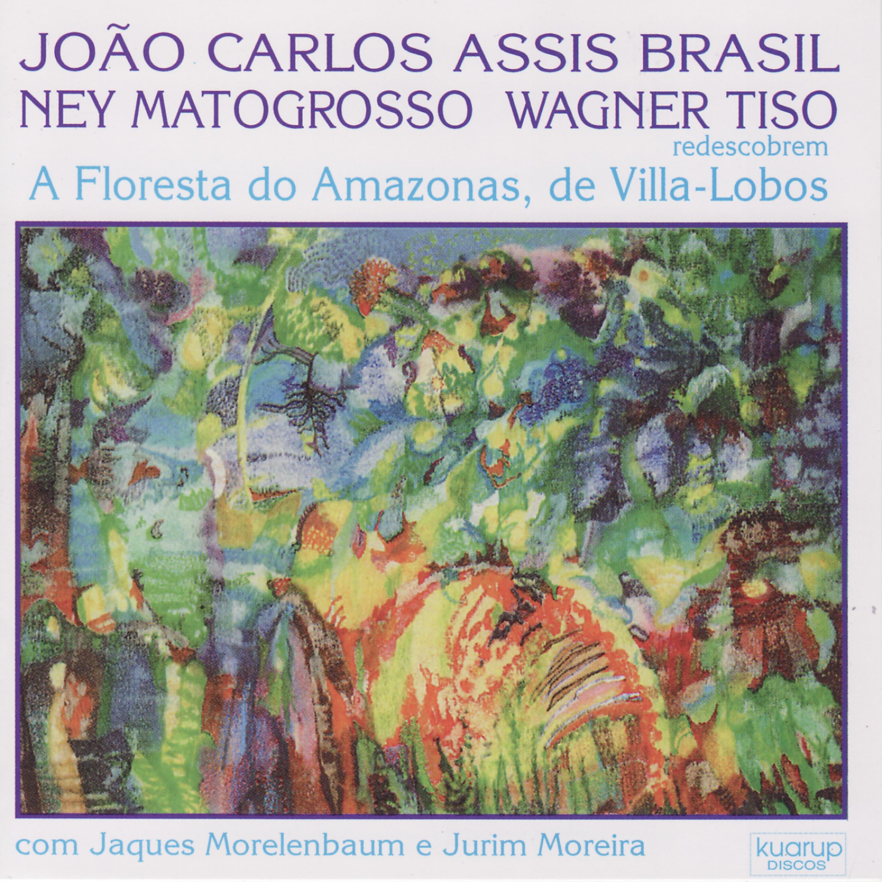 Постер альбома Heitor Villa-Lobos: A Floresta do Amazonas